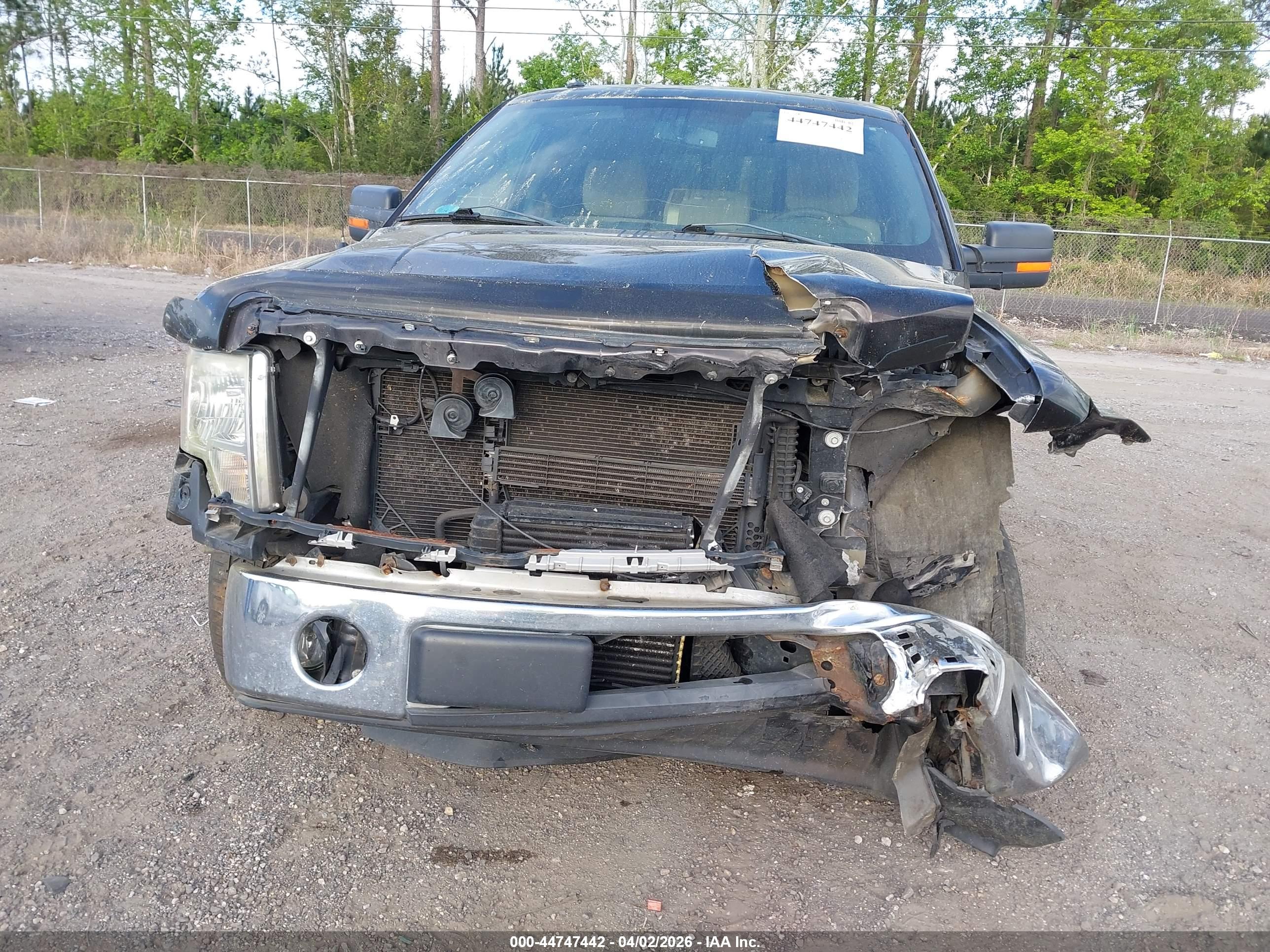 FORD F-150 image 6