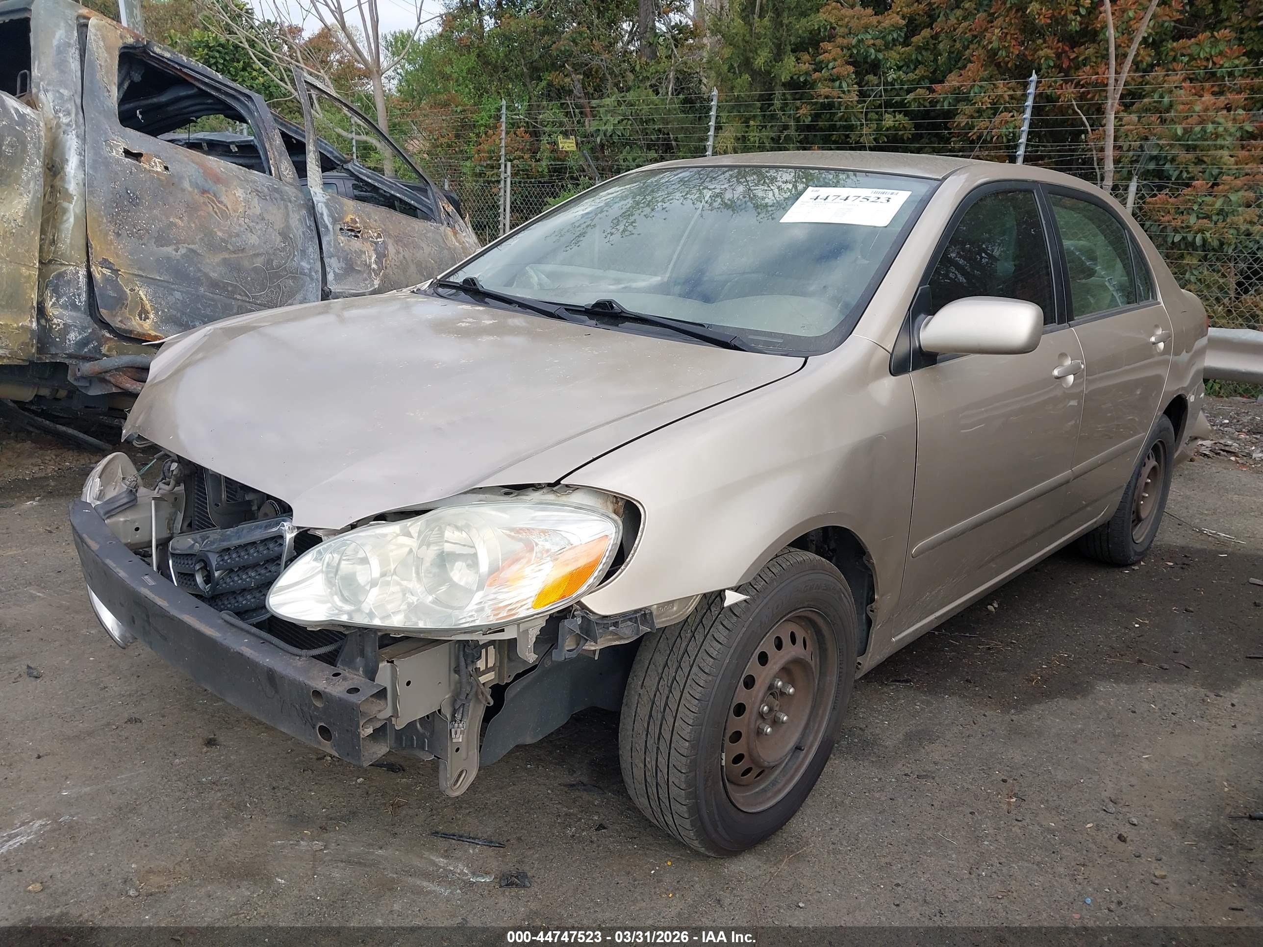 TOYOTA COROLLA image 2