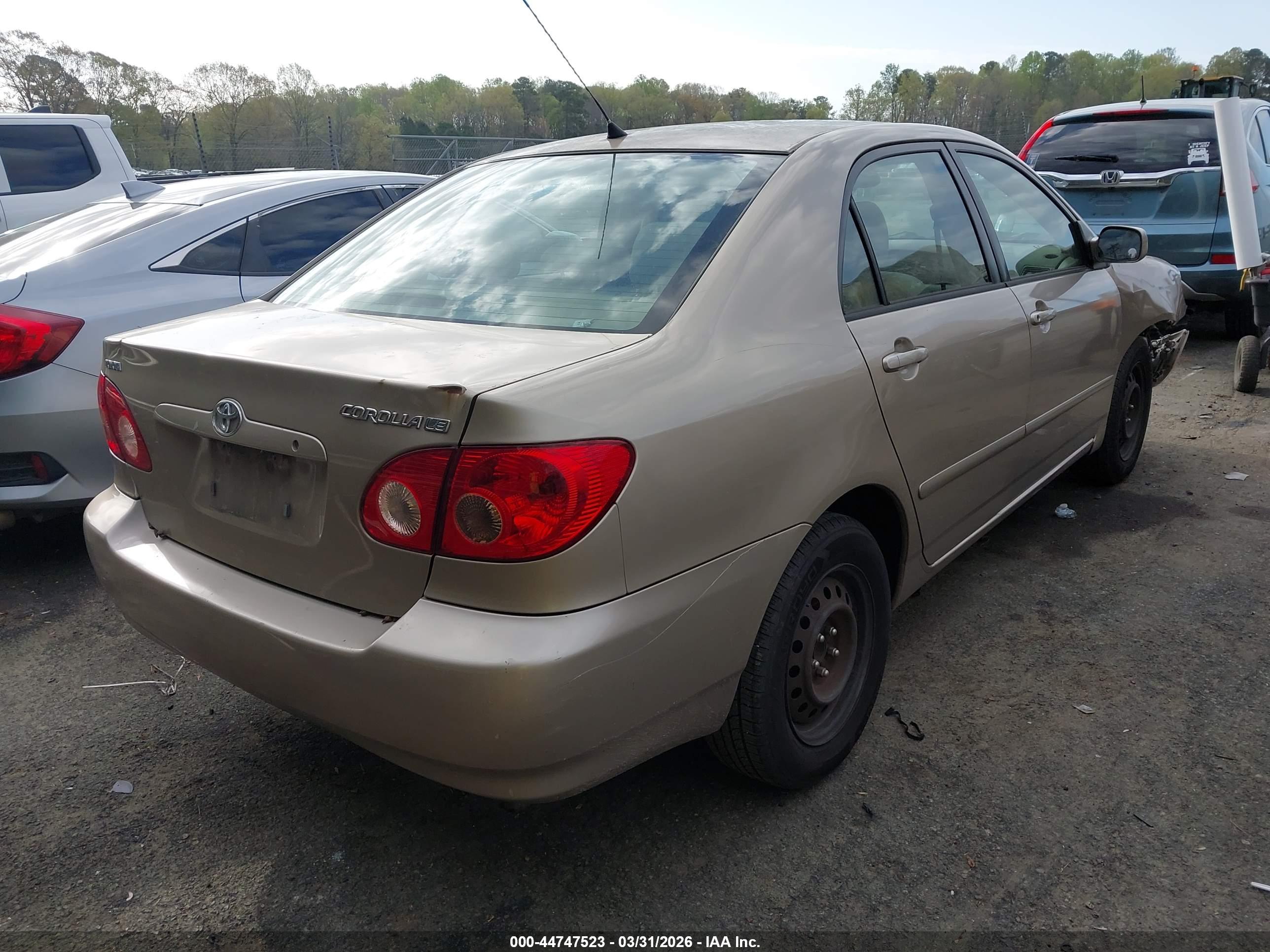 TOYOTA COROLLA image 4
