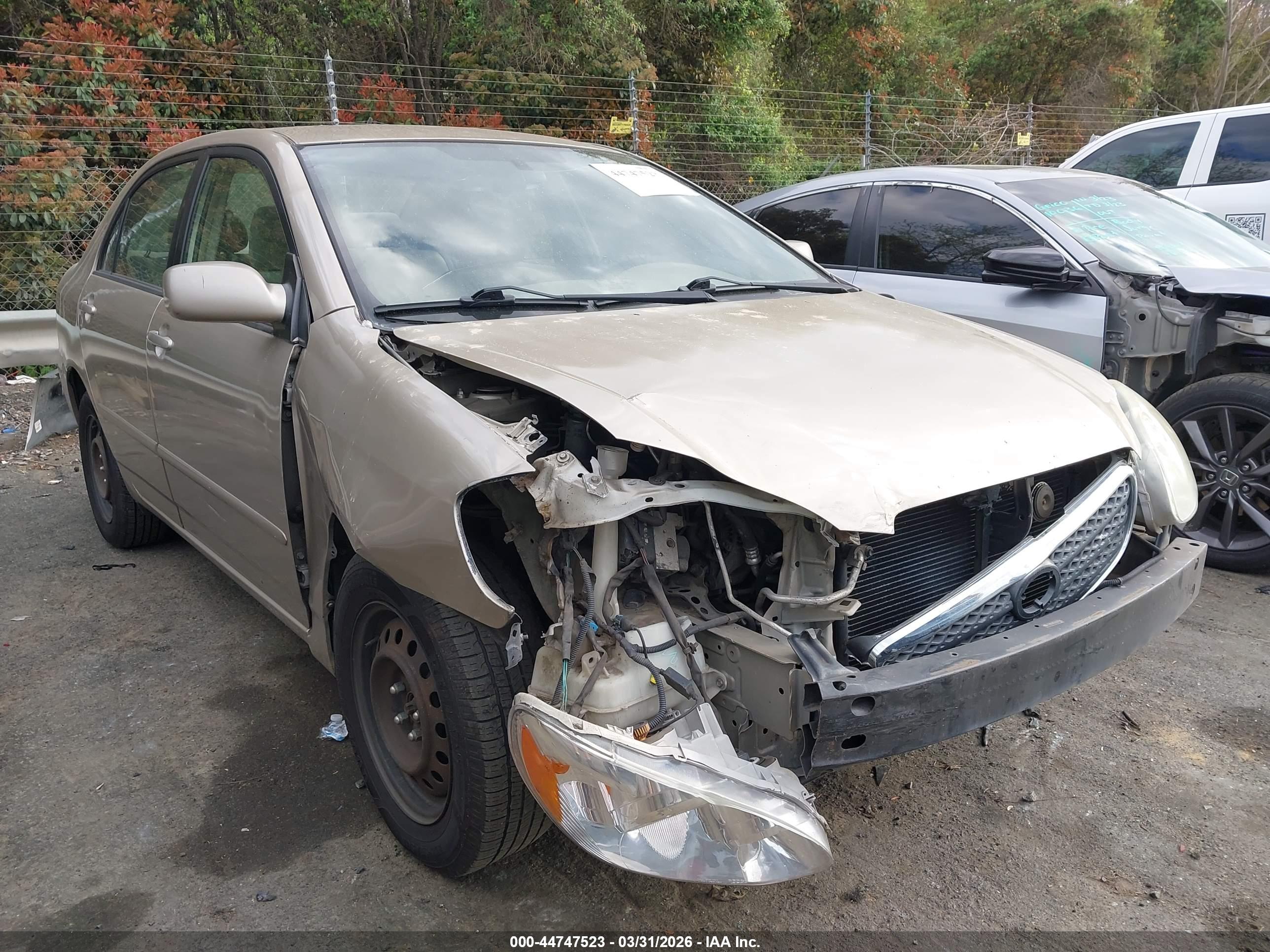 TOYOTA COROLLA image 6