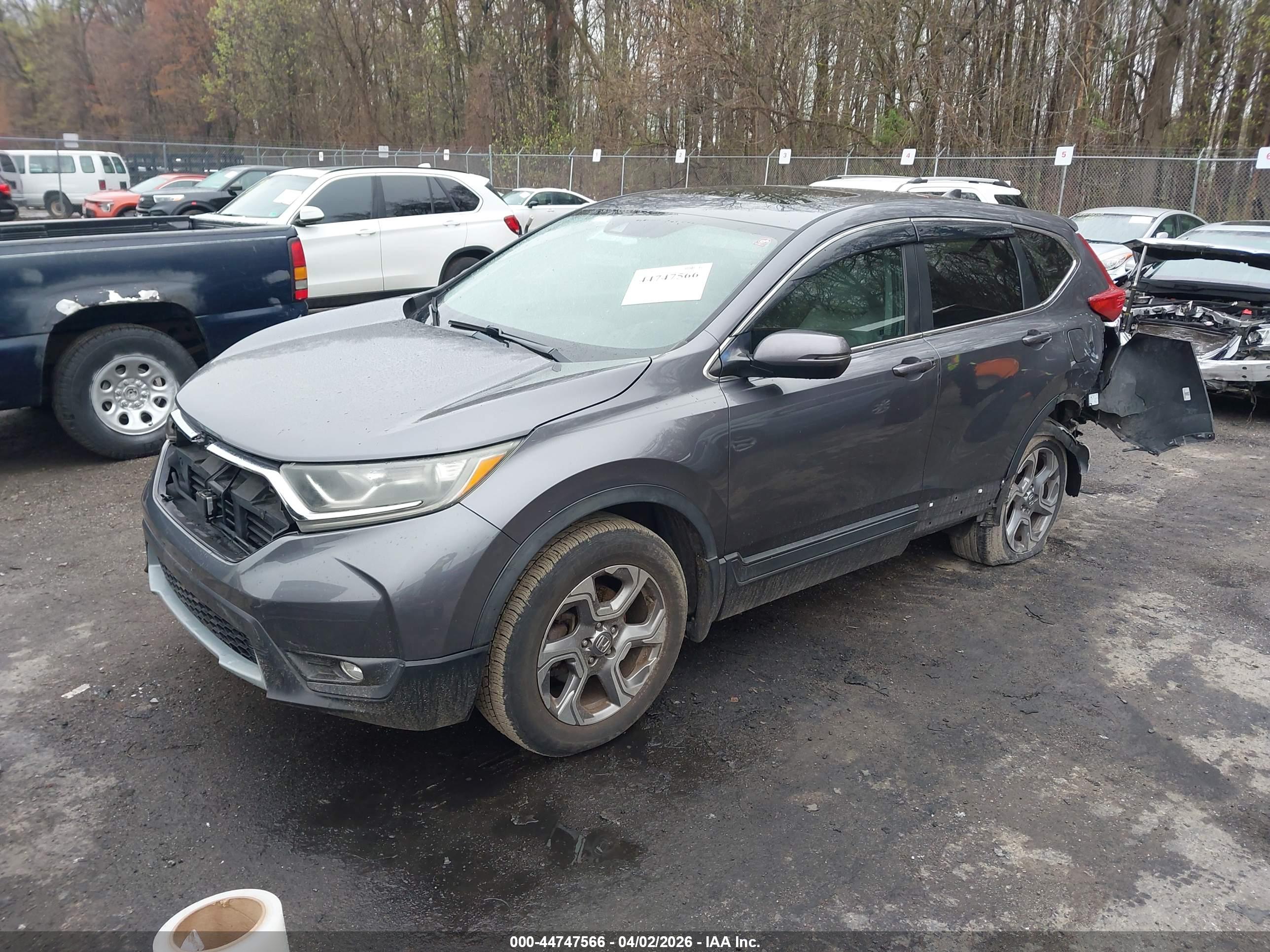 HONDA CR-V image 2