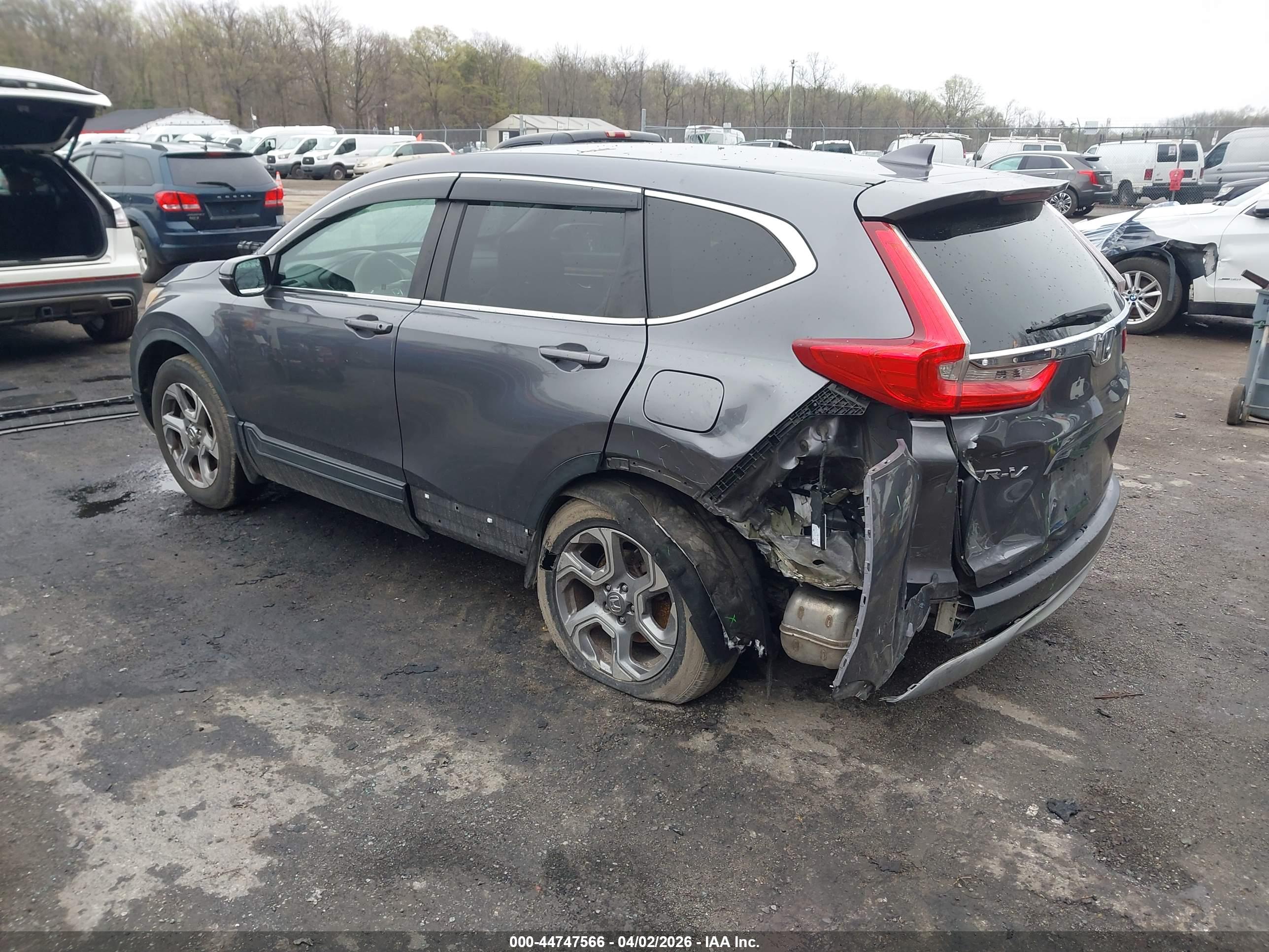 HONDA CR-V image 3