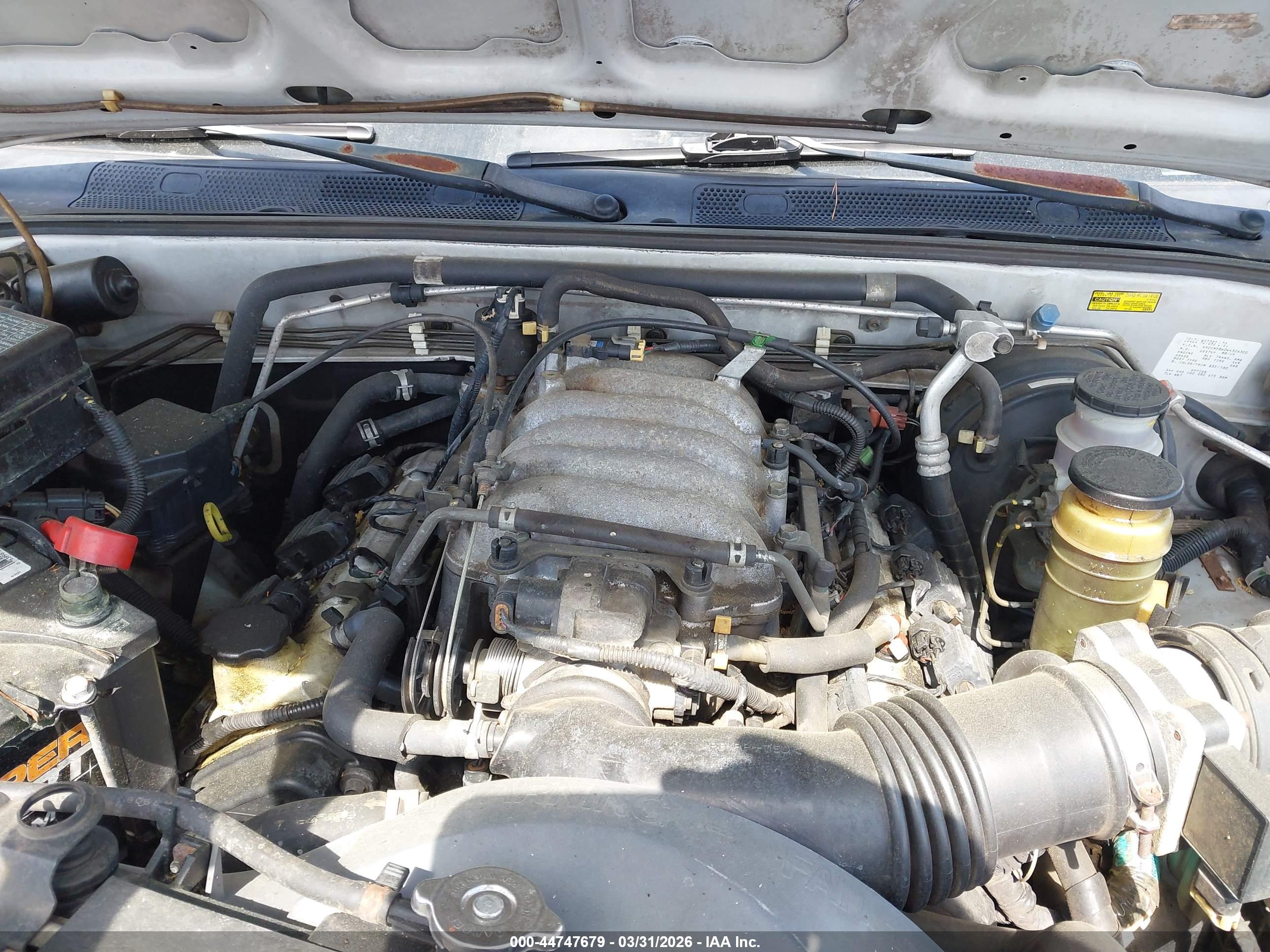 ISUZU RODEO image 10