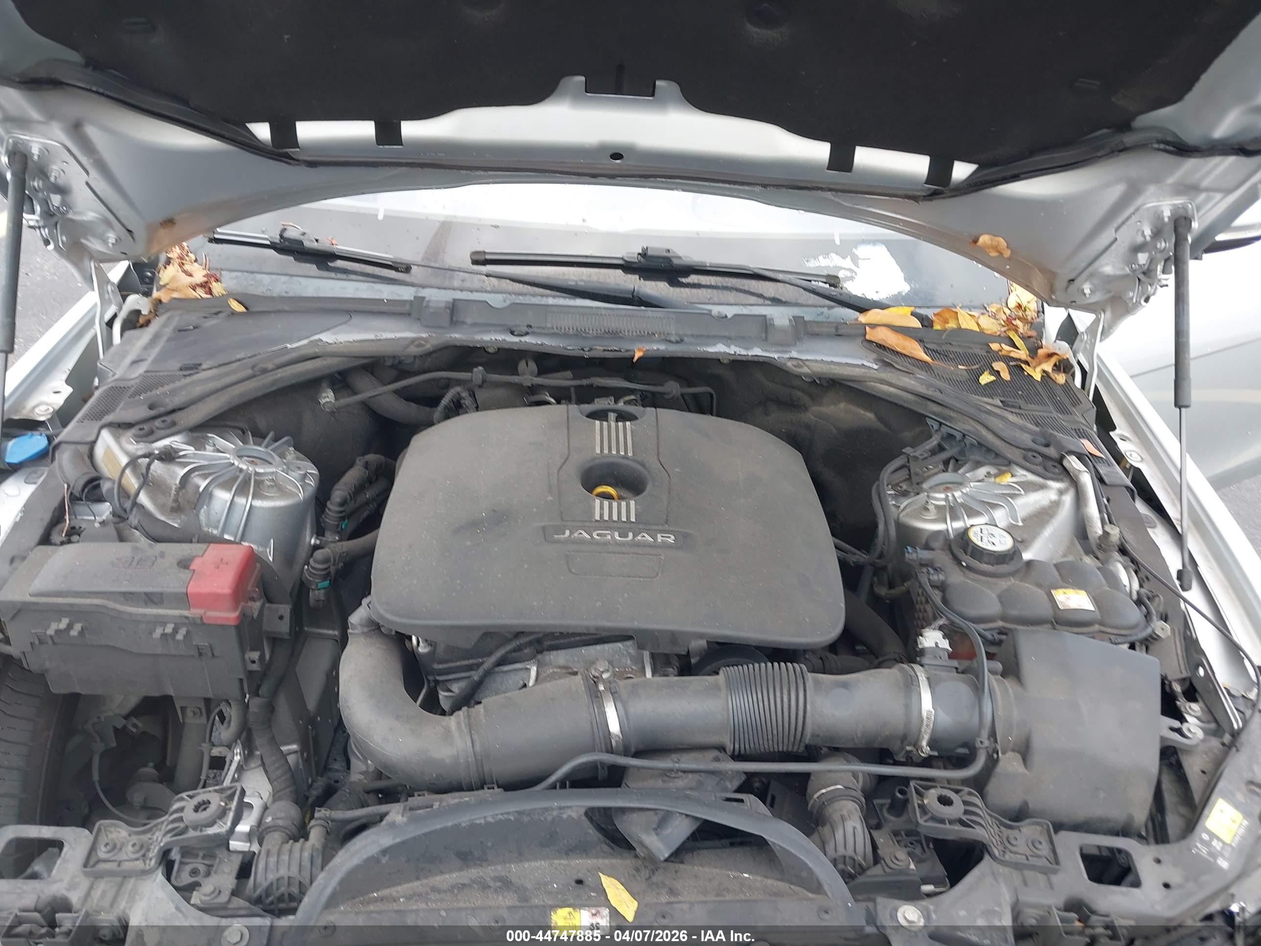 JAGUAR XE image 10