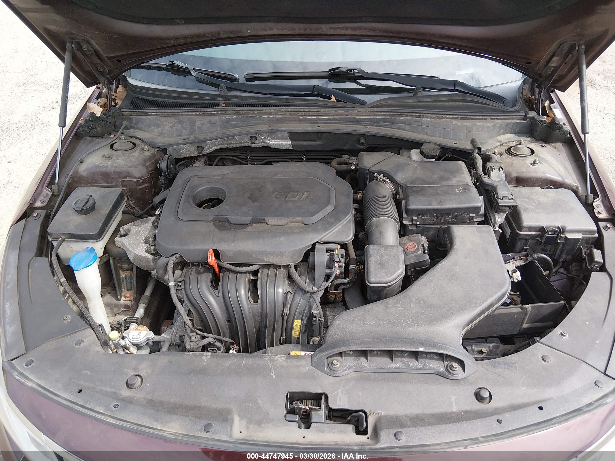 KIA OPTIMA image 10