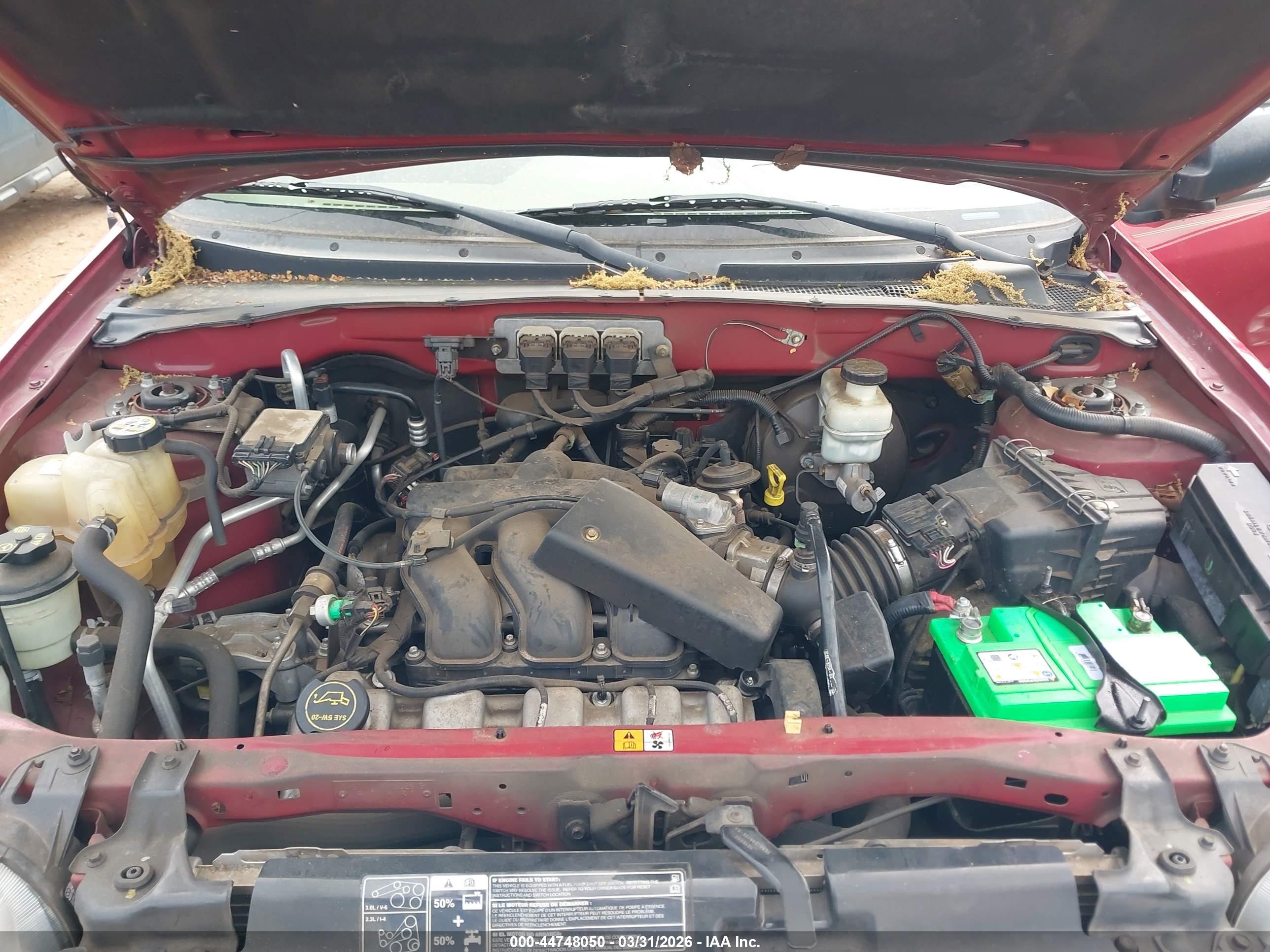 FORD ESCAPE image 10
