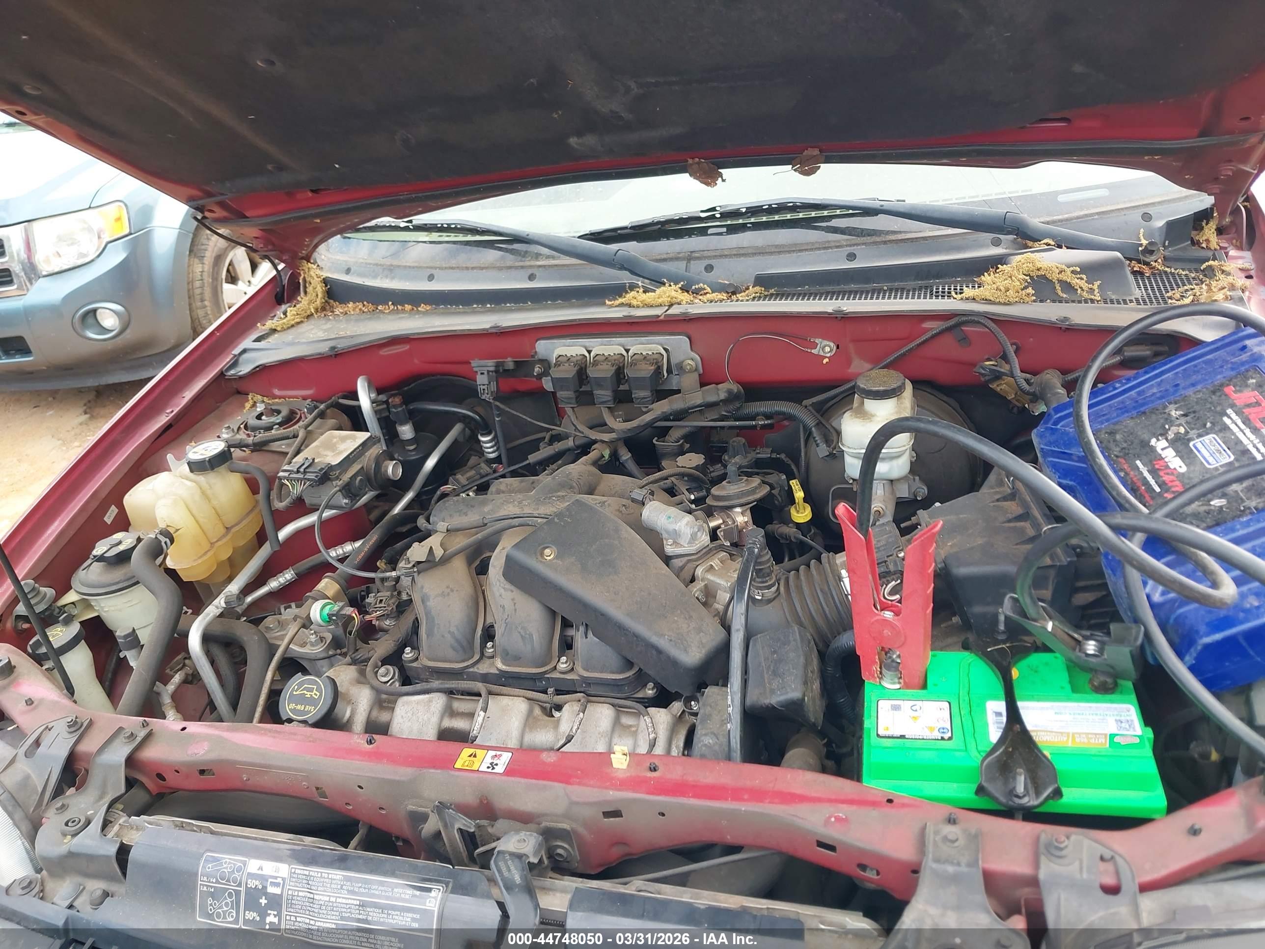 FORD ESCAPE image 6