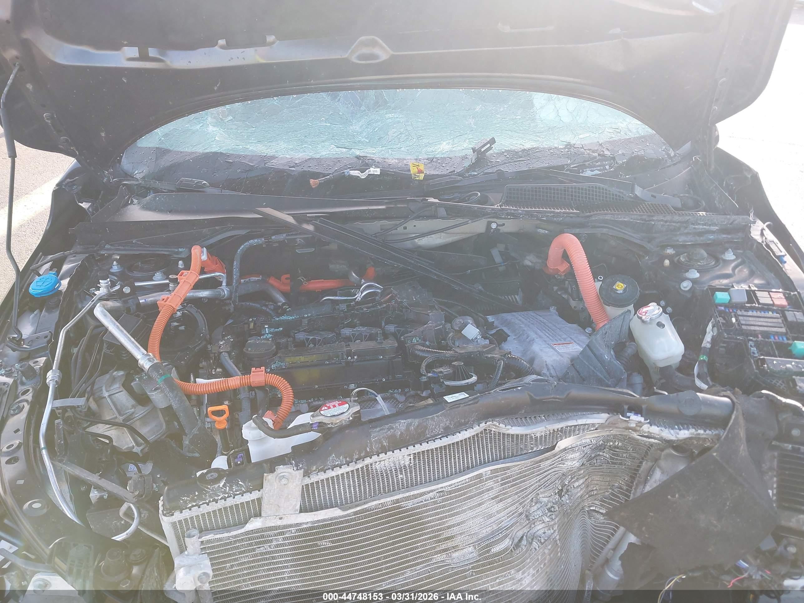 HONDA CIVIC image 10