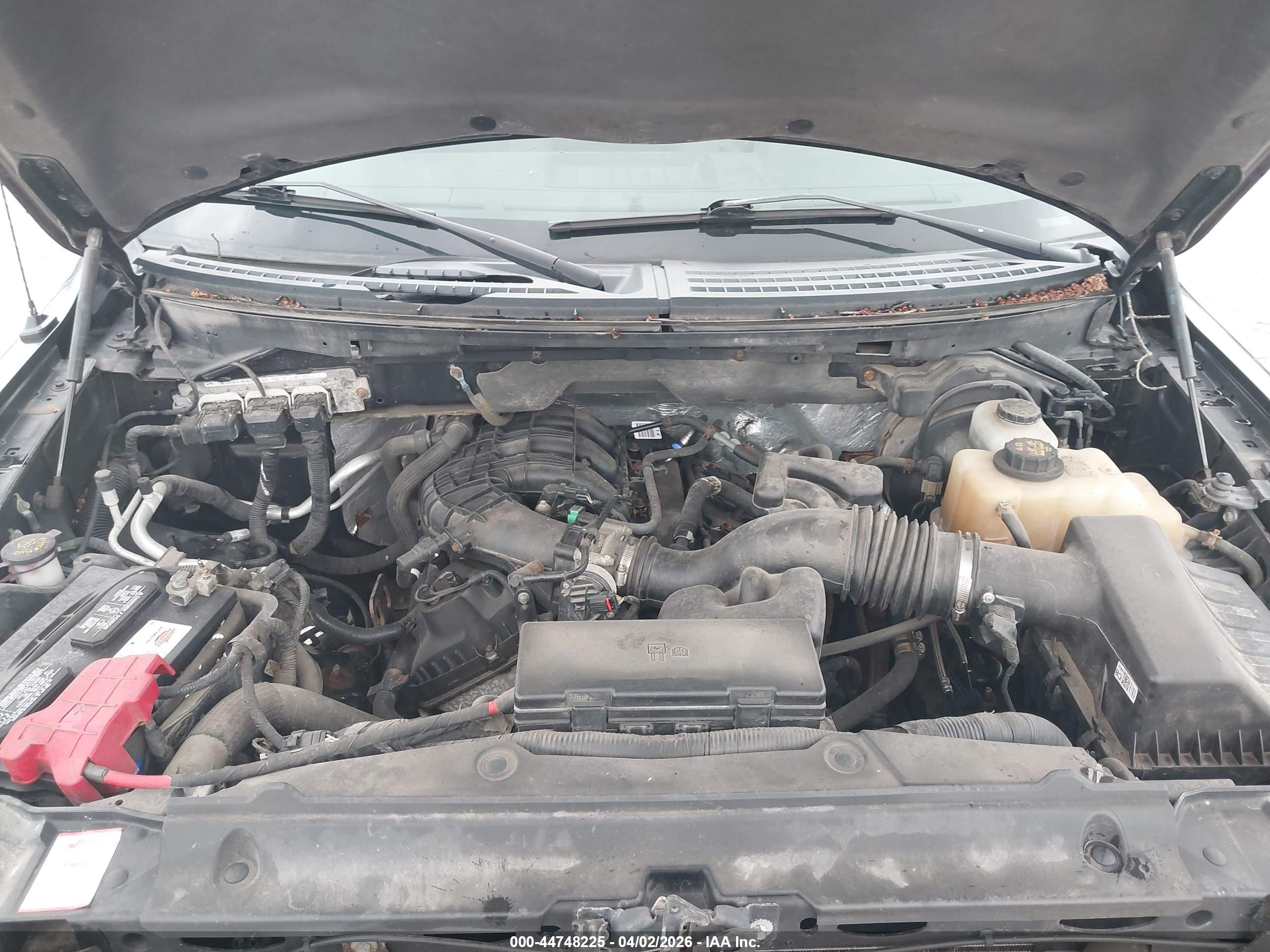 FORD F-150 image 10