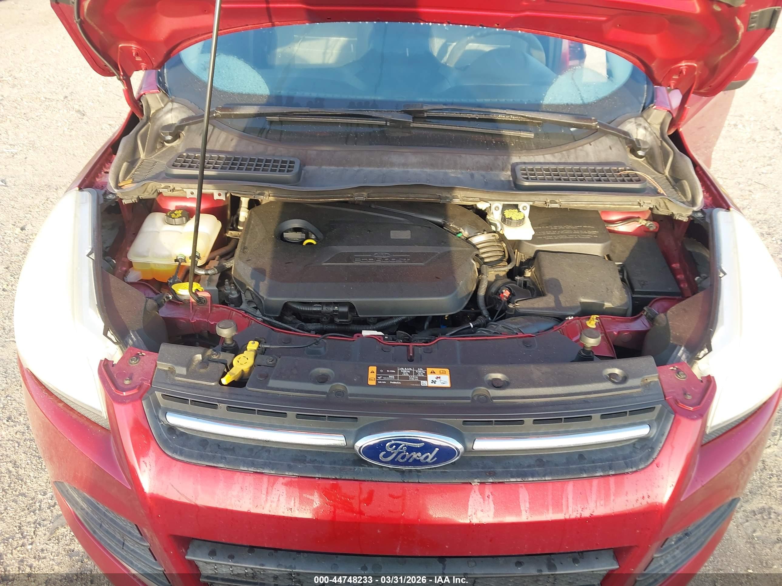 FORD ESCAPE image 10
