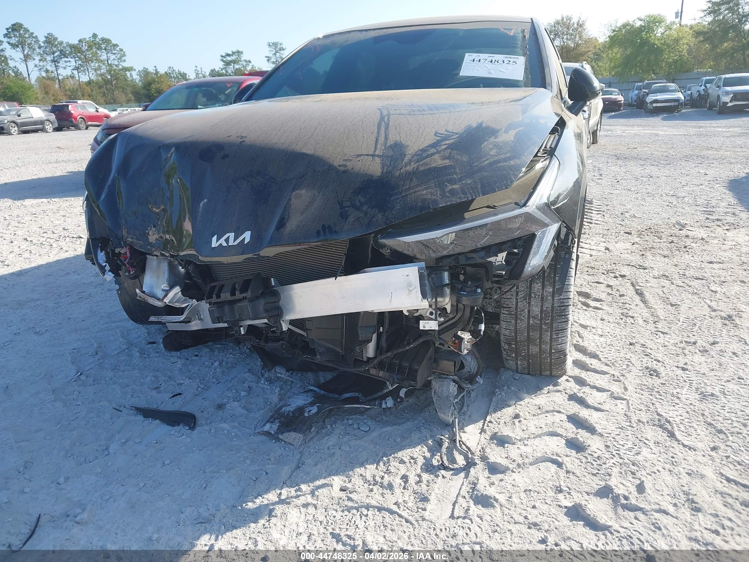 KIA K5 image 6