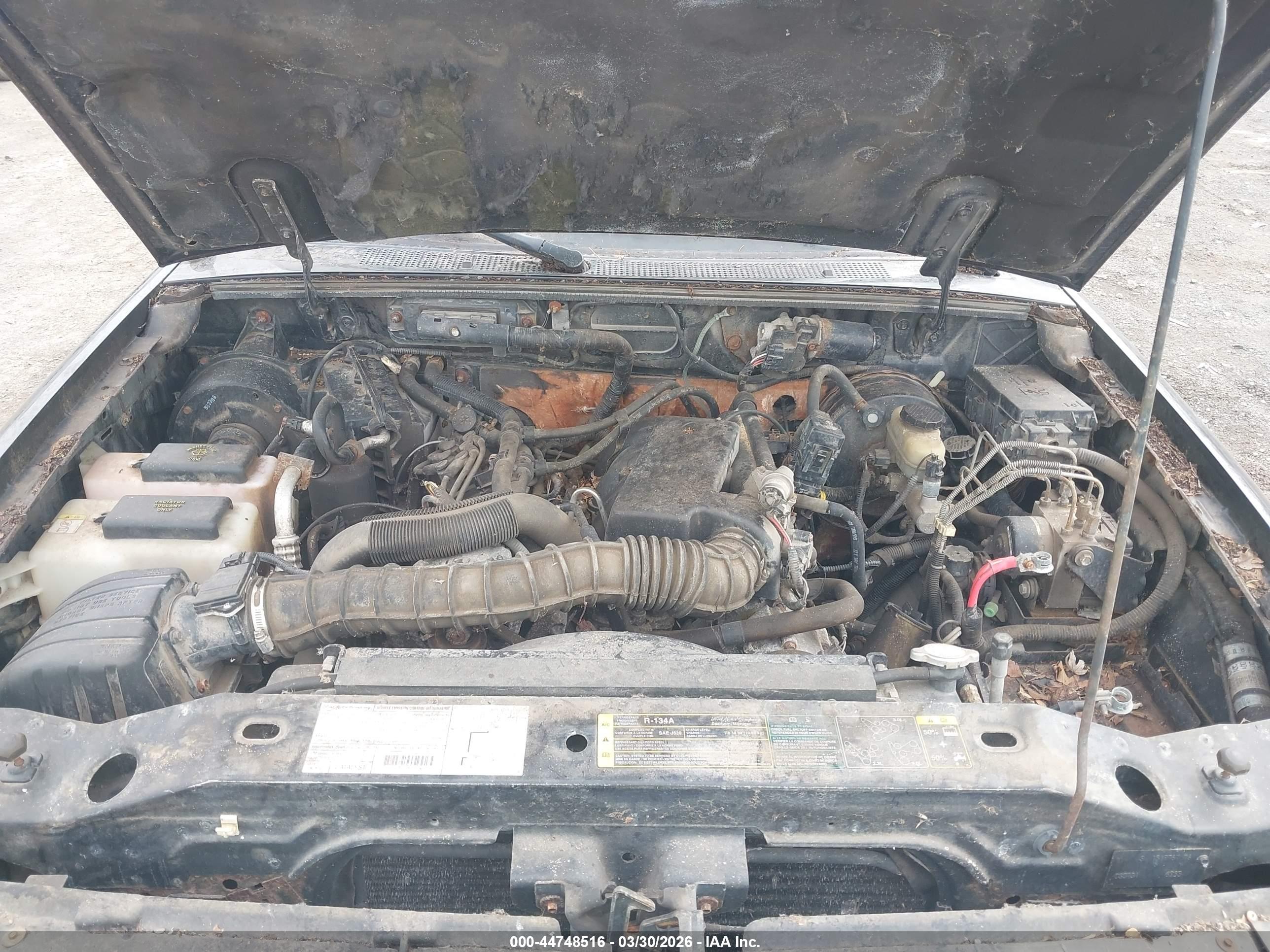 FORD RANGER image 10