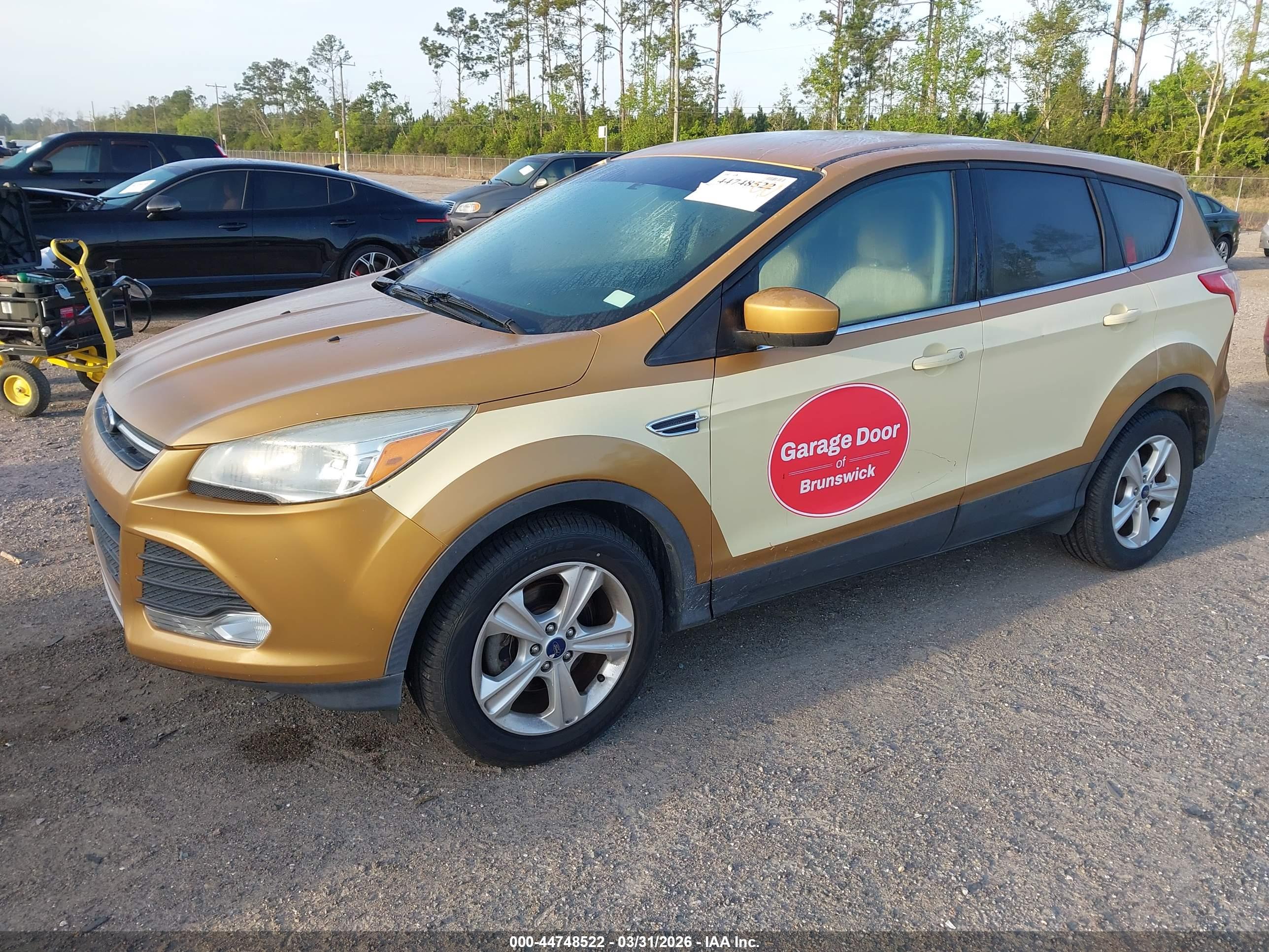 FORD ESCAPE image 2