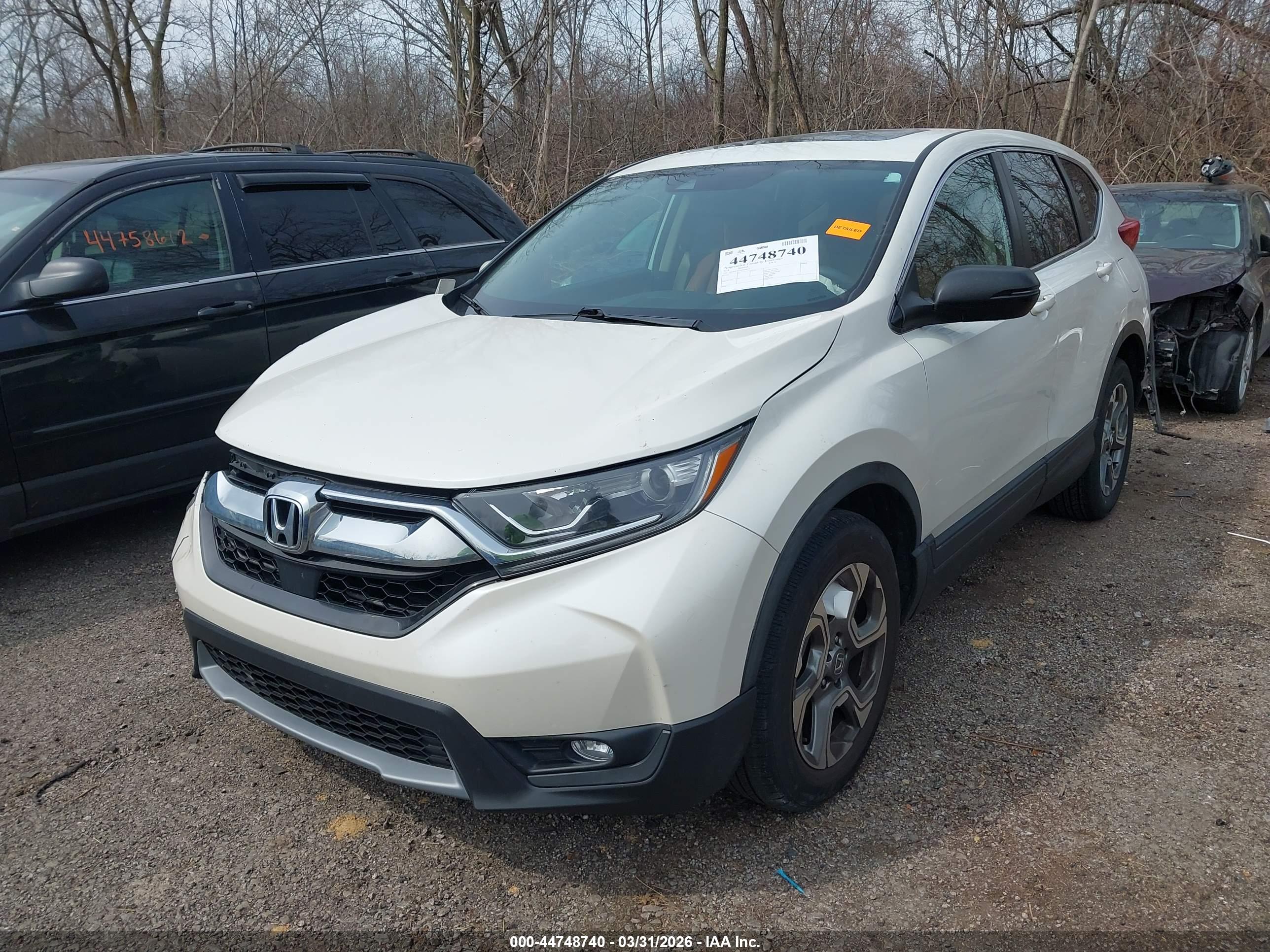 HONDA CR-V image 2
