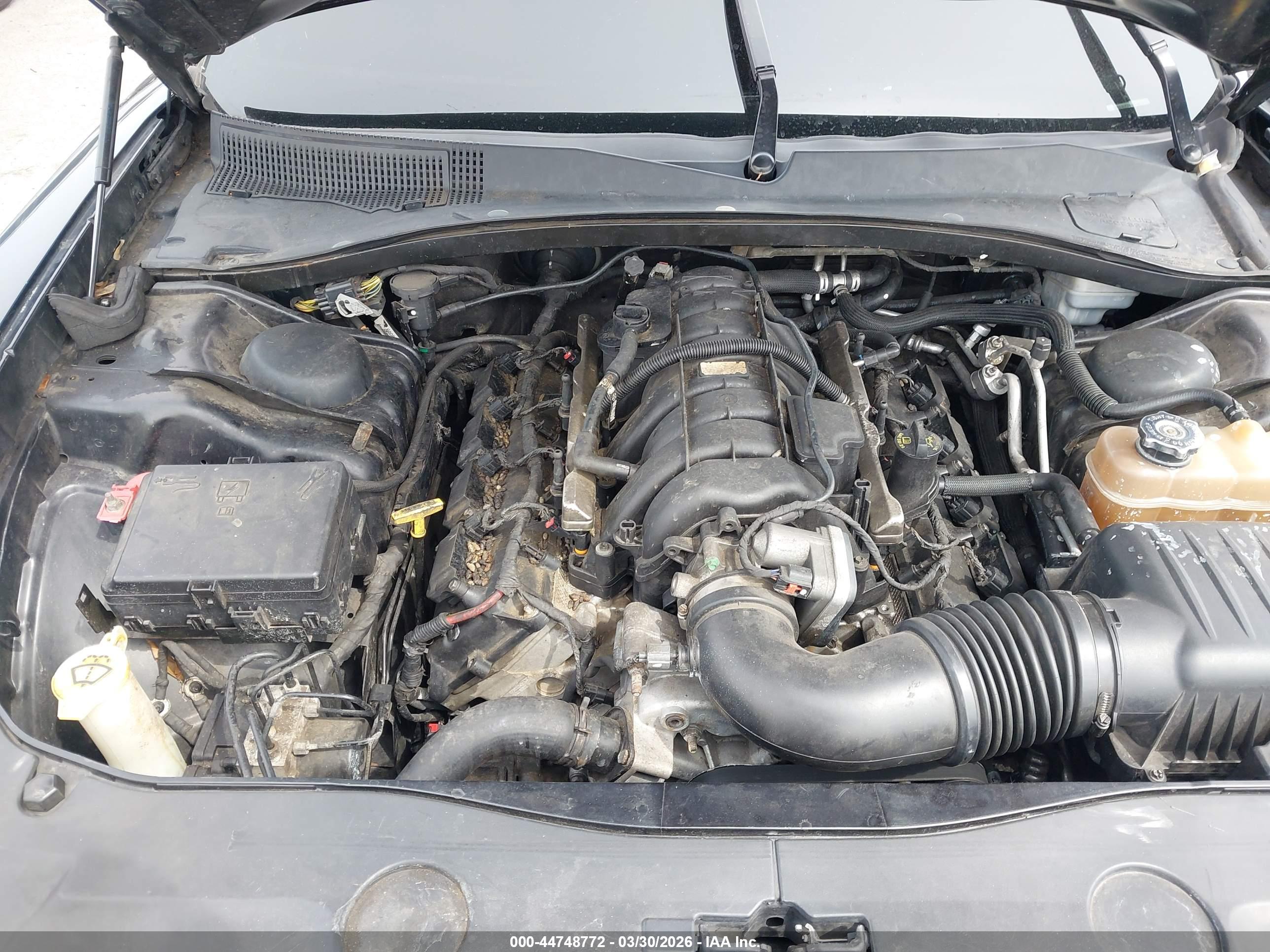 DODGE CHARGER image 10
