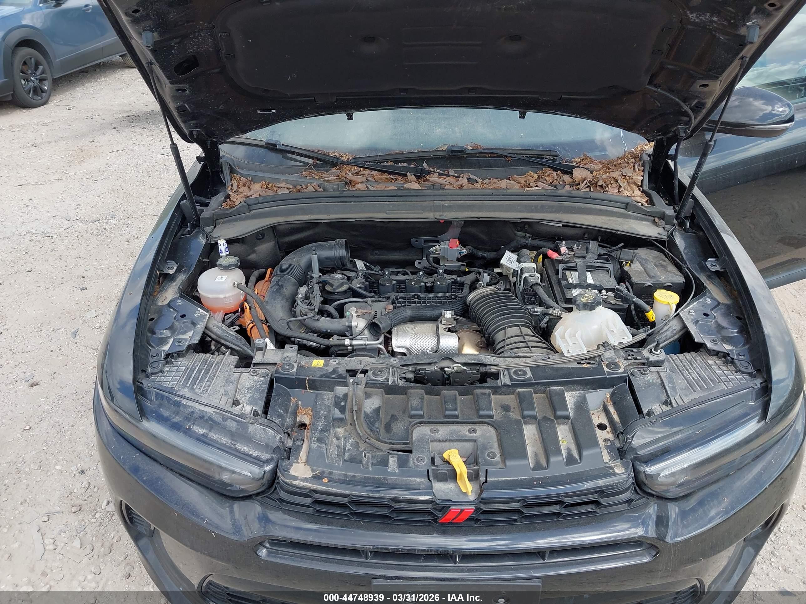 DODGE HORNET image 10