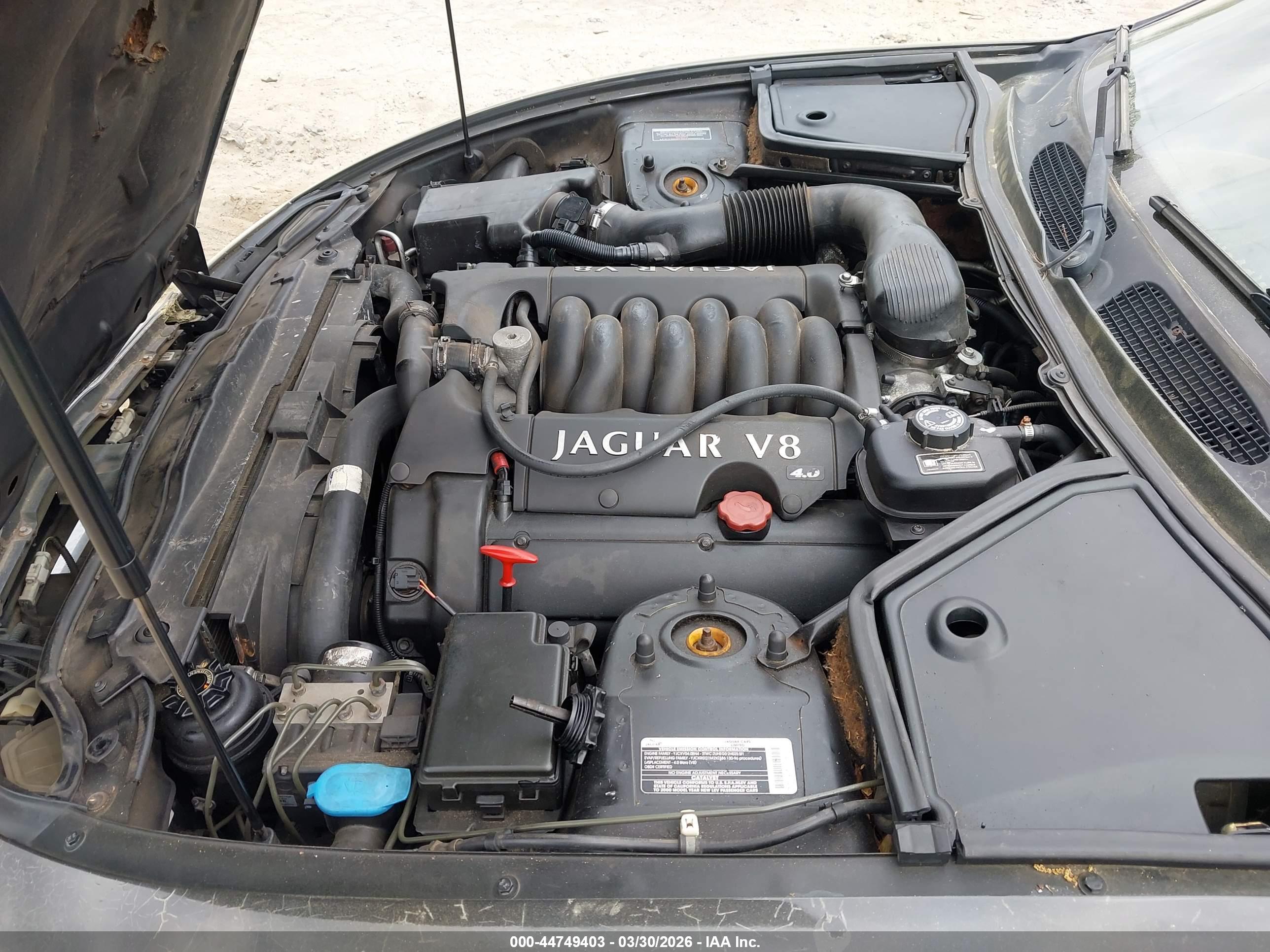 JAGUAR XK8 image 10