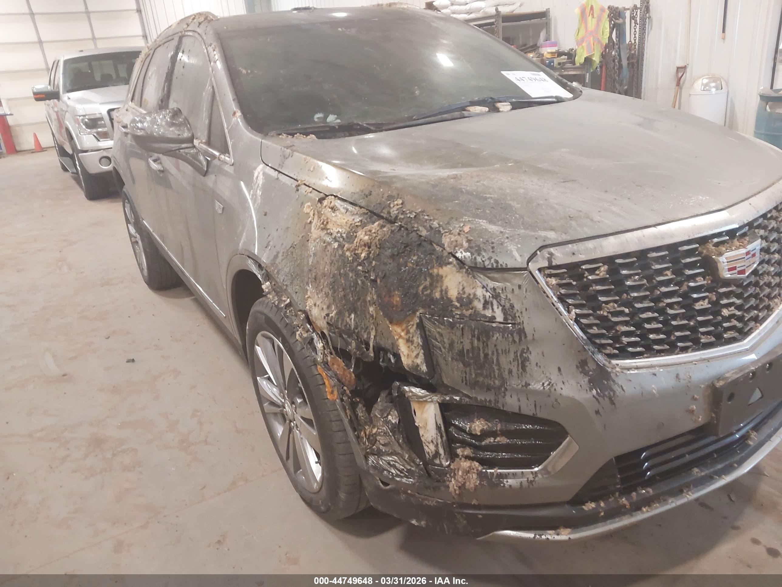 CADILLAC XT5 image 6
