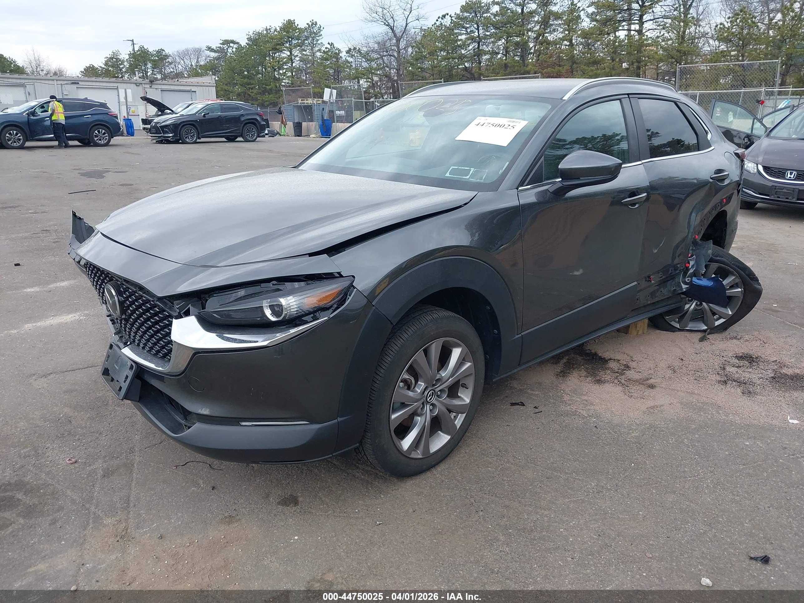 MAZDA CX-30 image 2