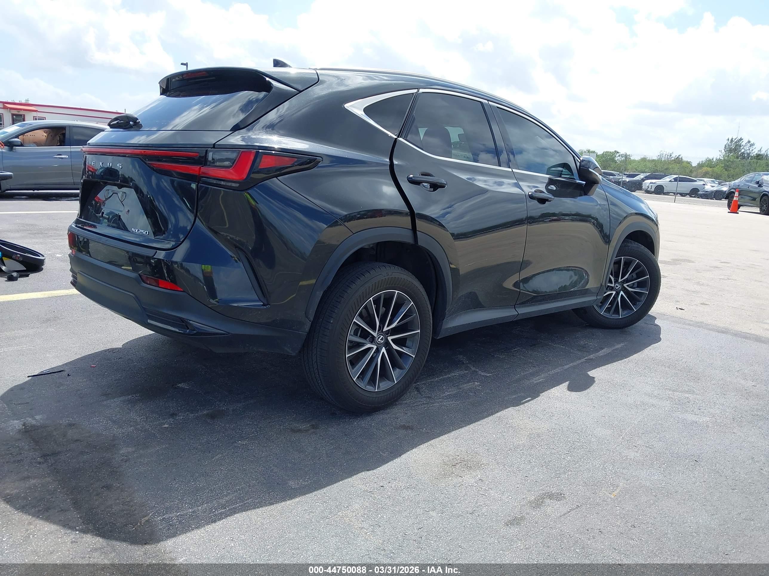 LEXUS NX image 4