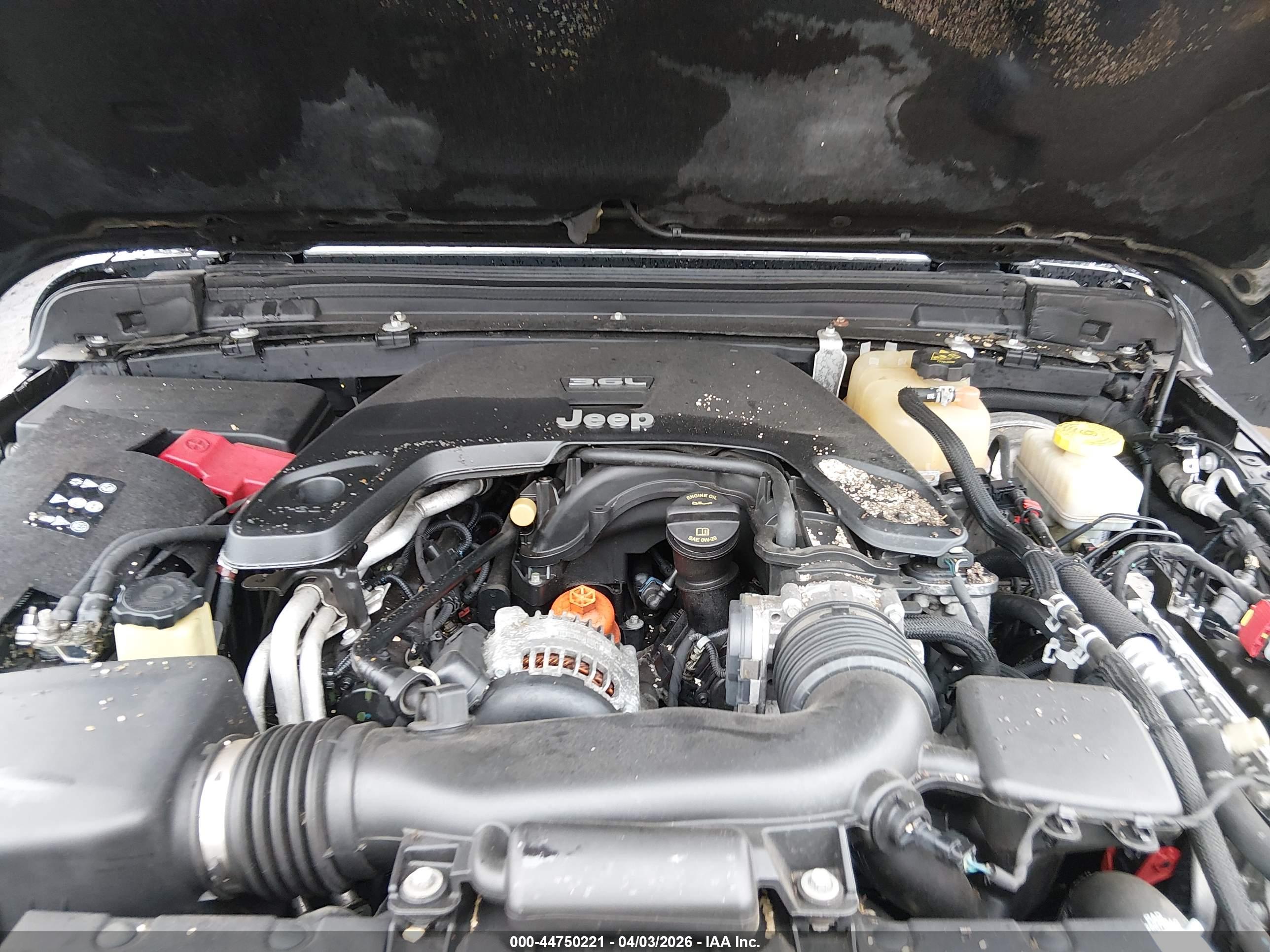 JEEP WRANGLER image 10
