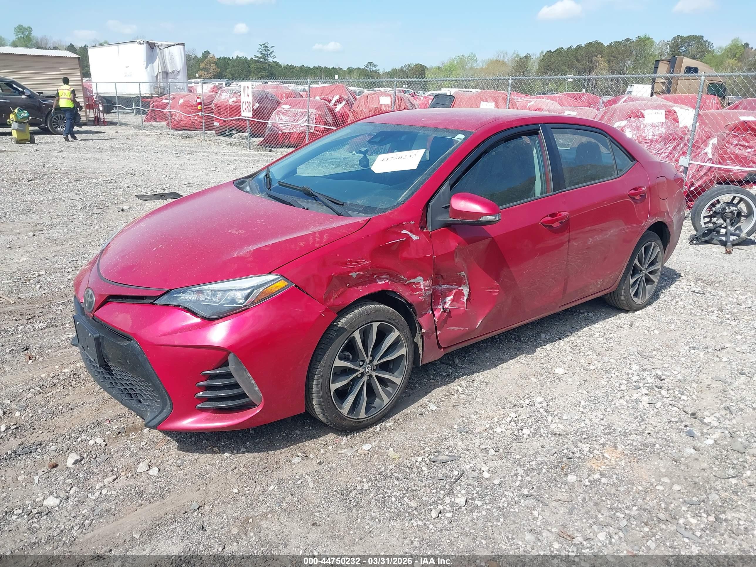 TOYOTA COROLLA image 2