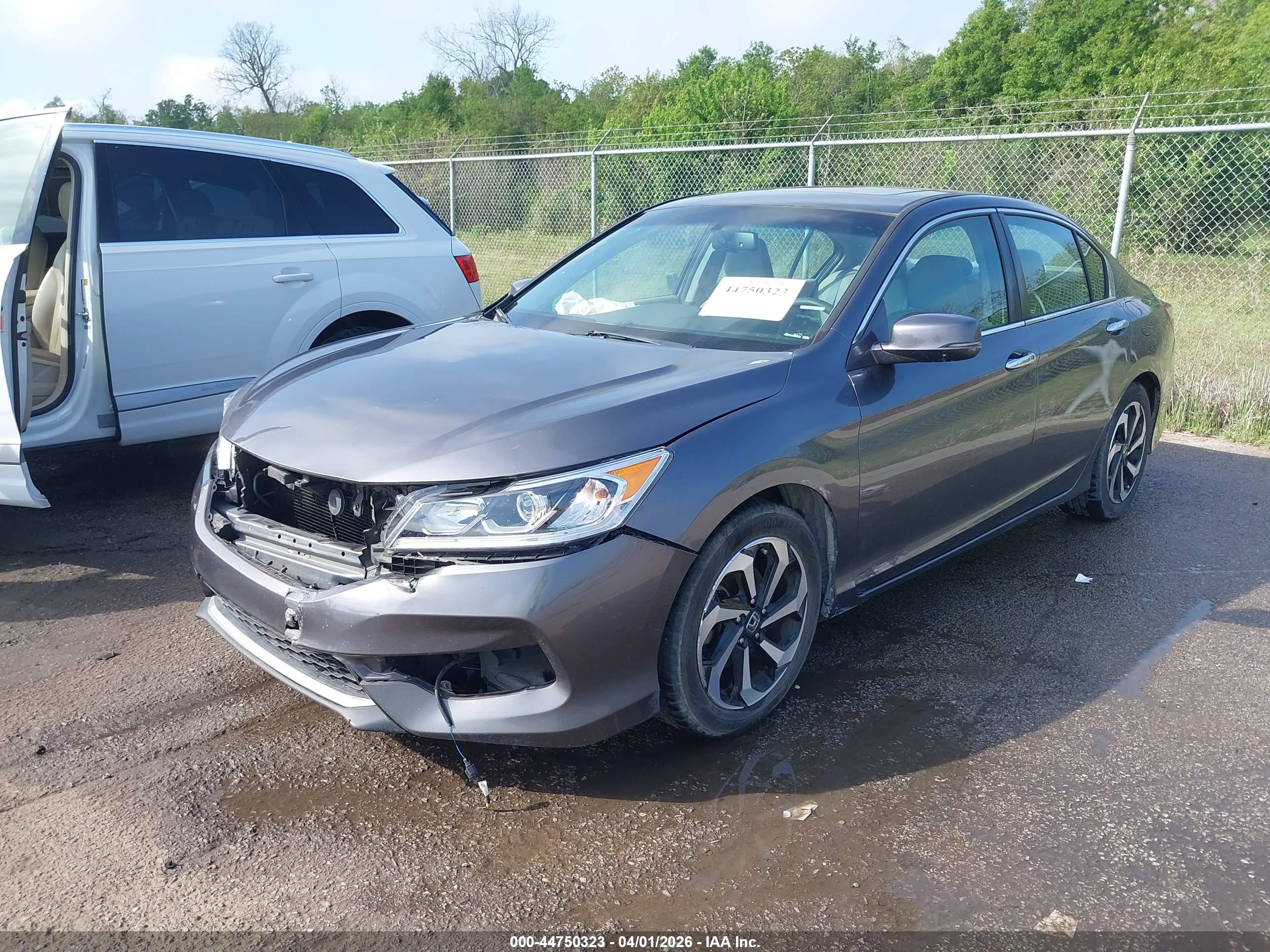 HONDA ACCORD image 2