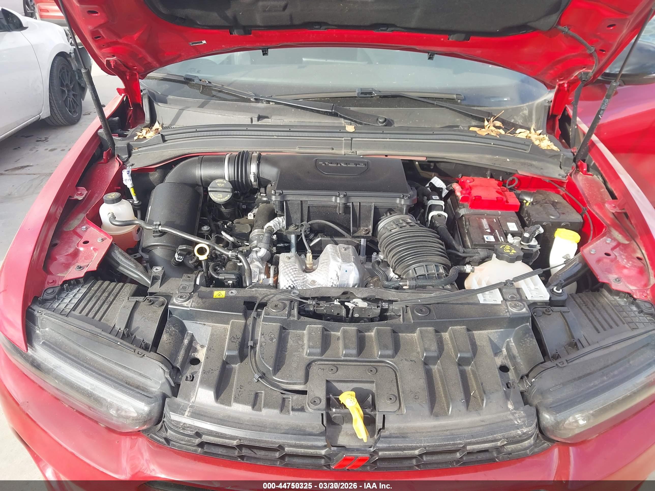 DODGE HORNET image 10