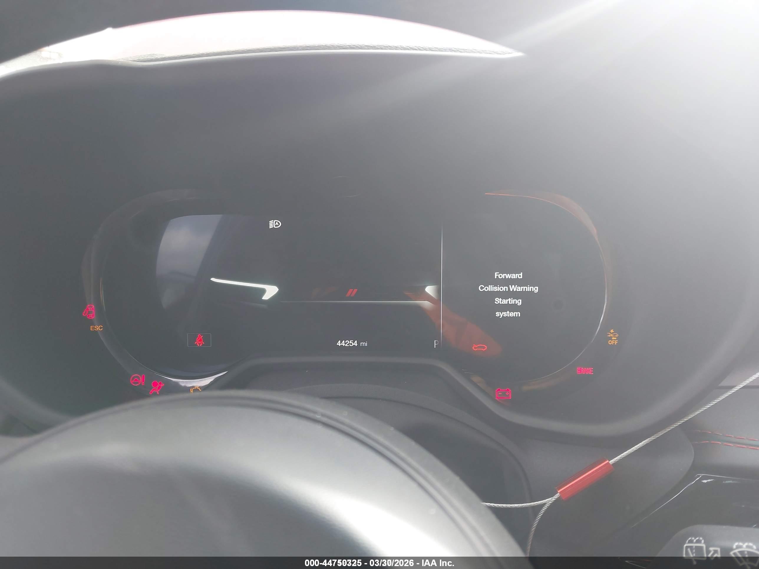 DODGE HORNET image 7