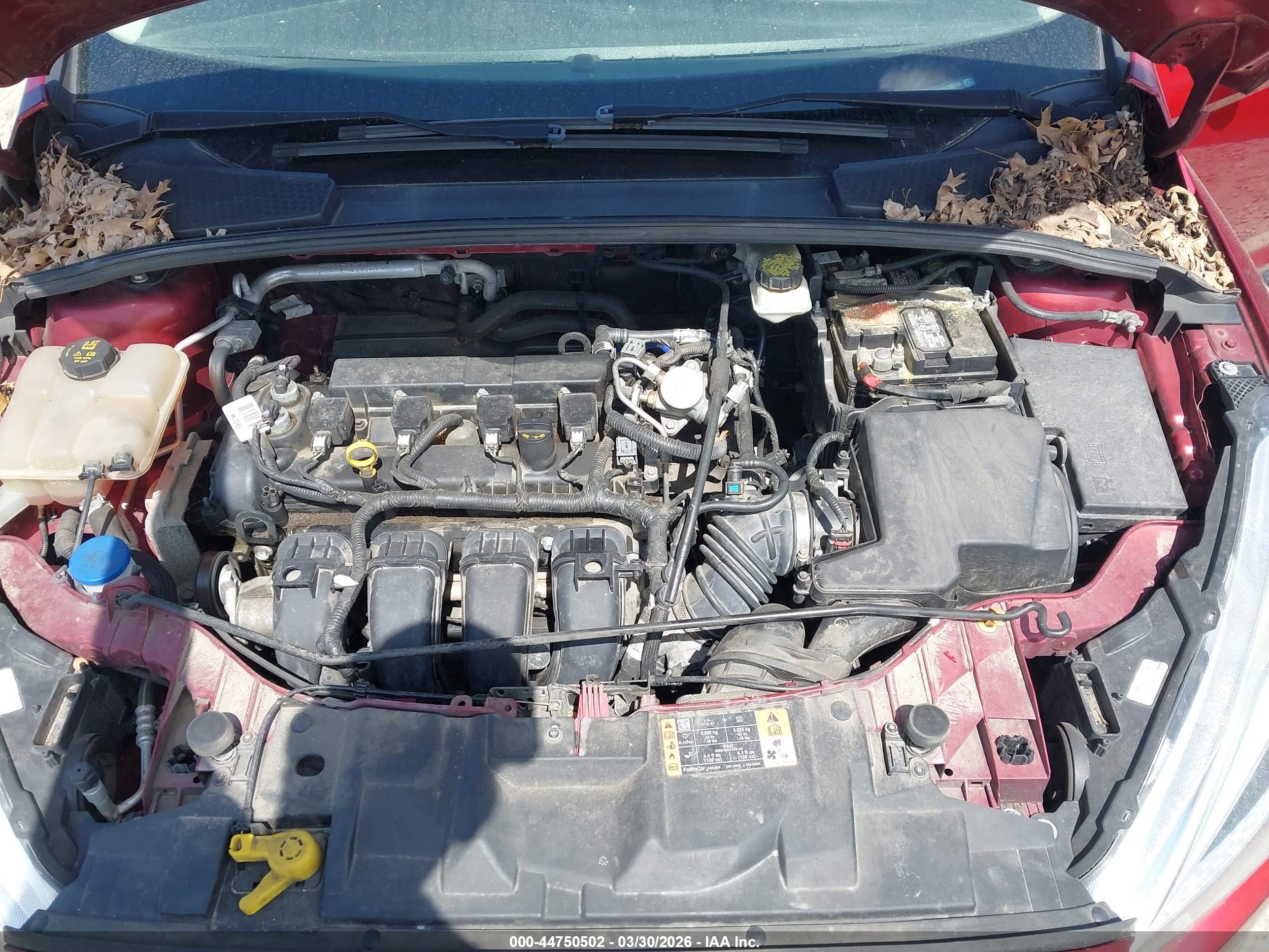 FORD FOCUS image 10