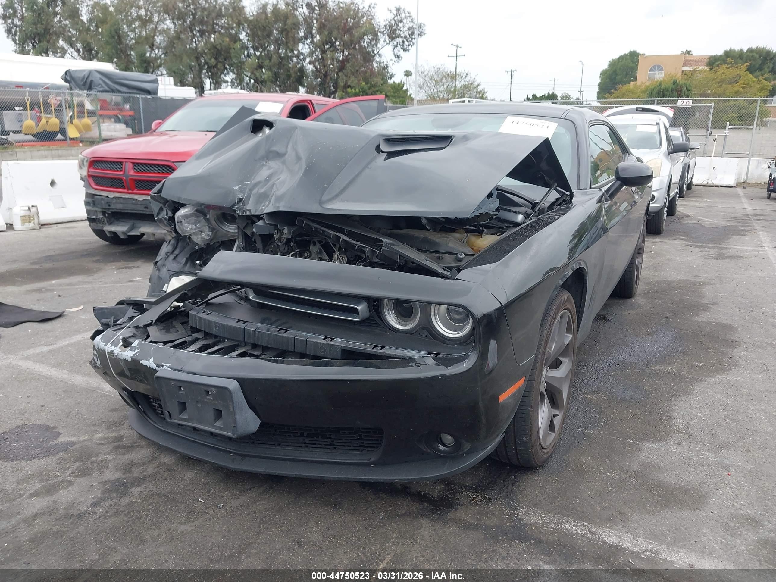 DODGE CHALLENGER image 2