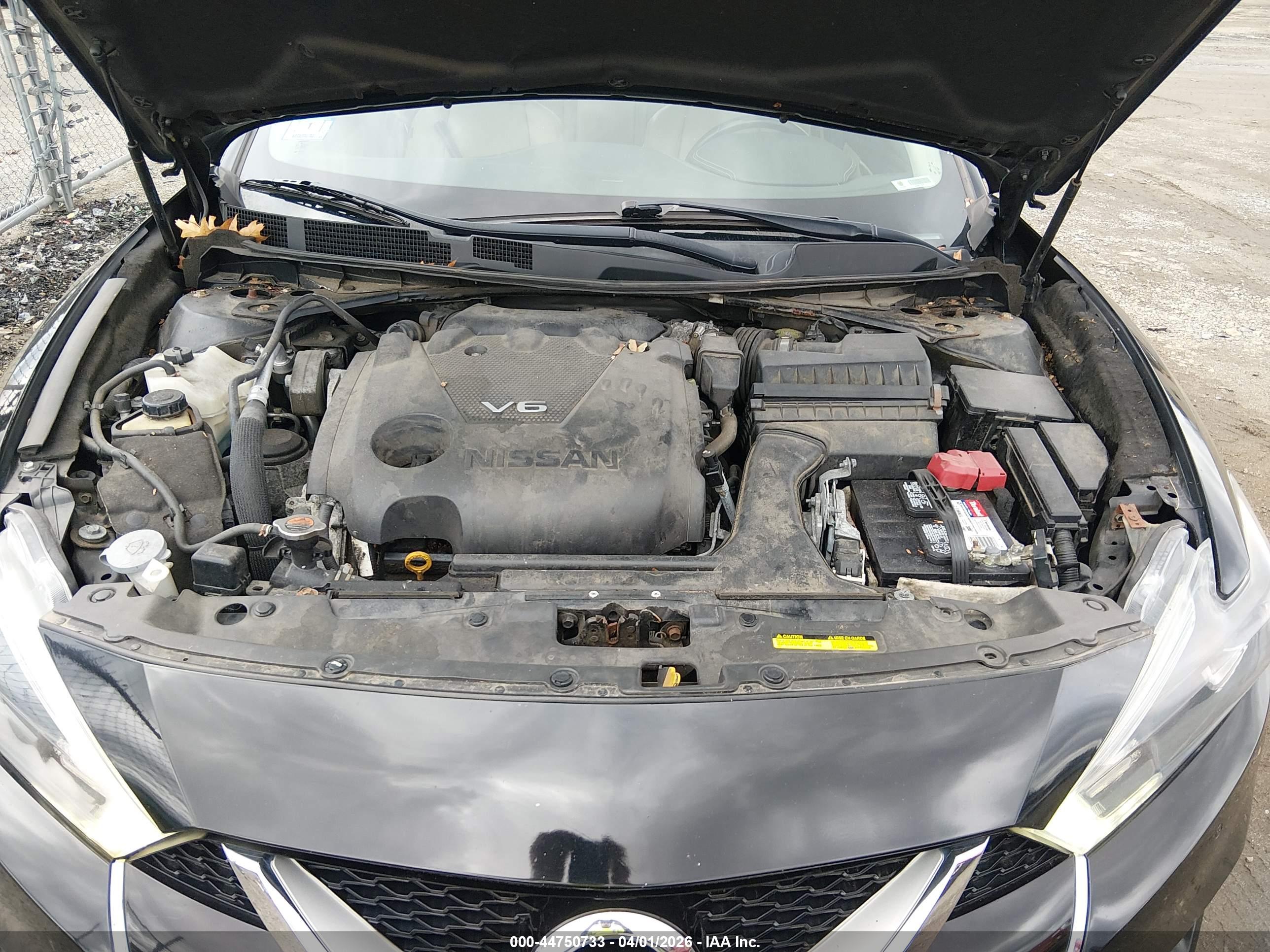 NISSAN MAXIMA image 10