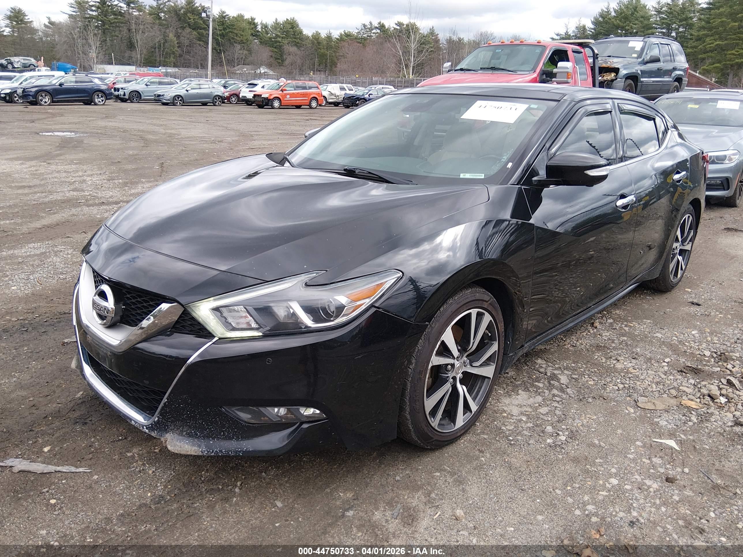 NISSAN MAXIMA image 2