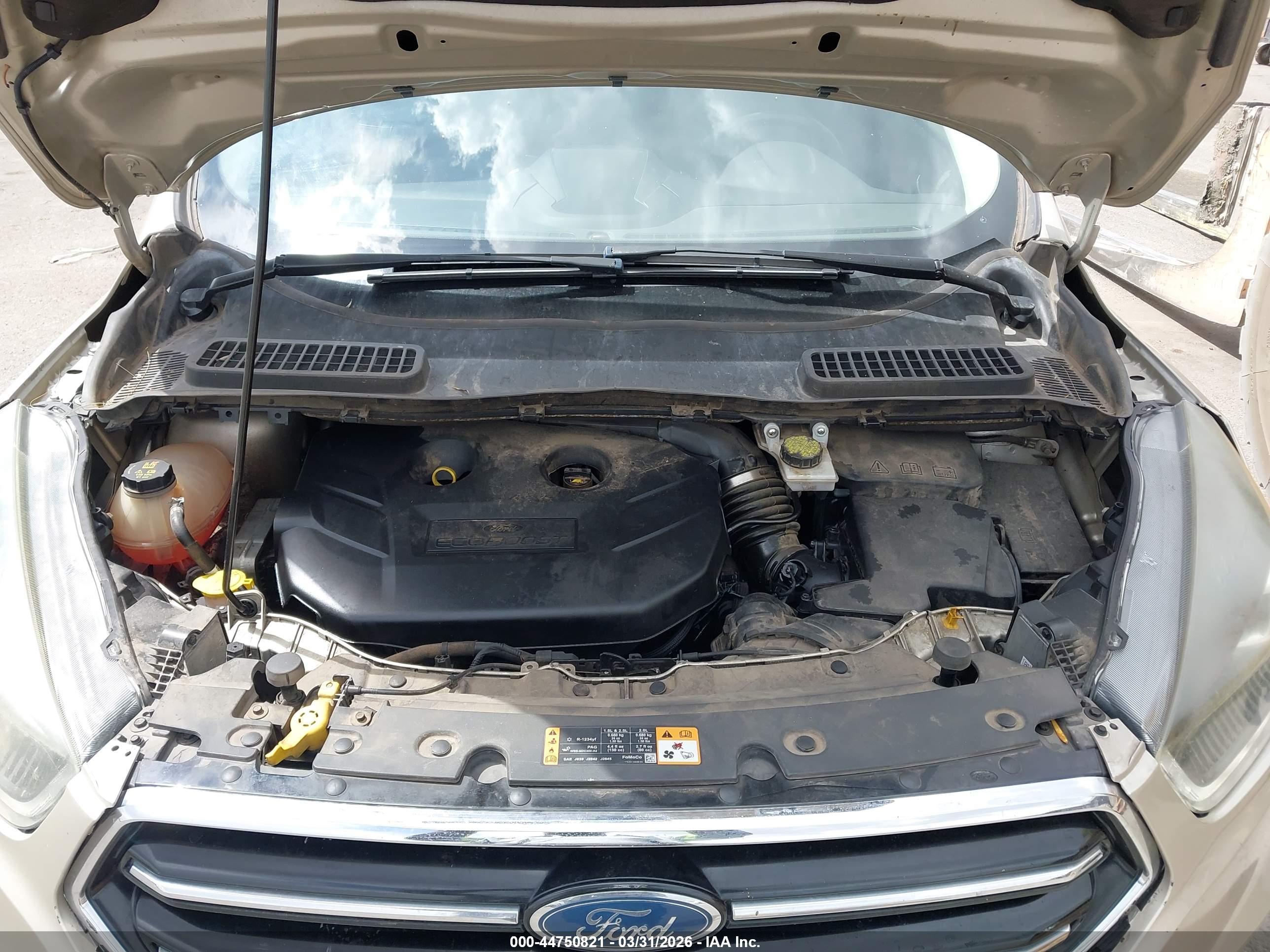 FORD ESCAPE image 10