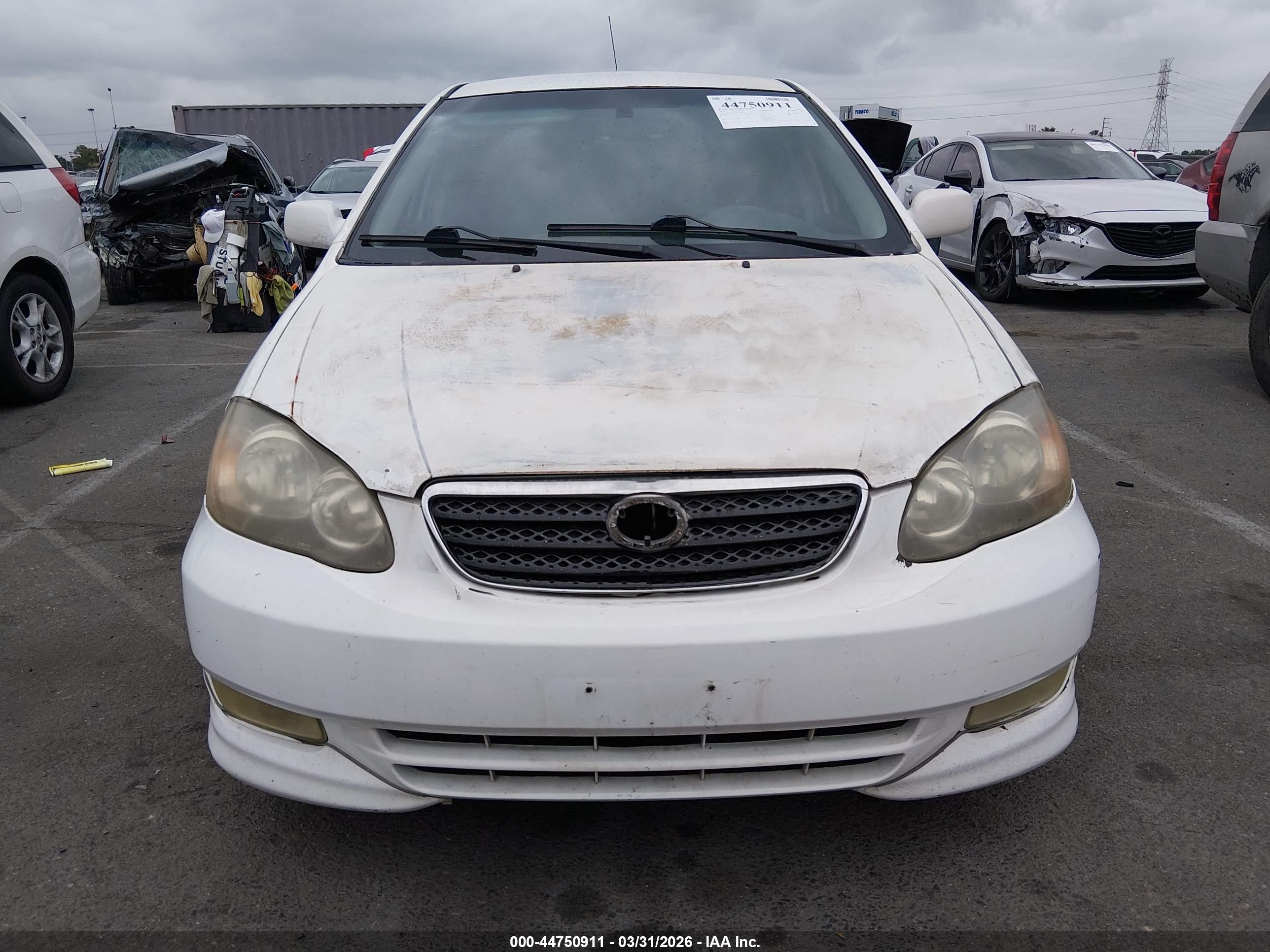 TOYOTA COROLLA image 6