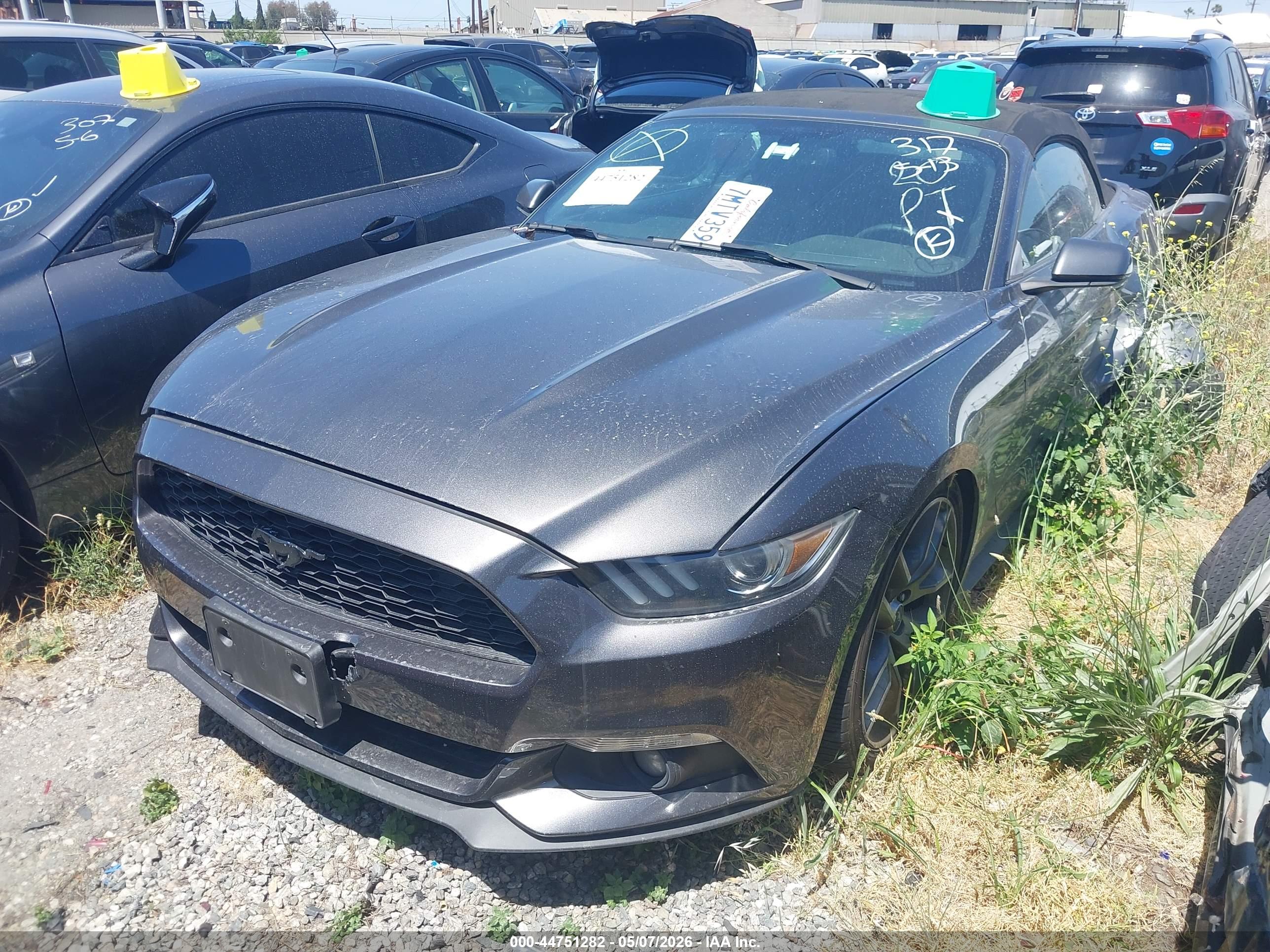 FORD MUSTANG image 2