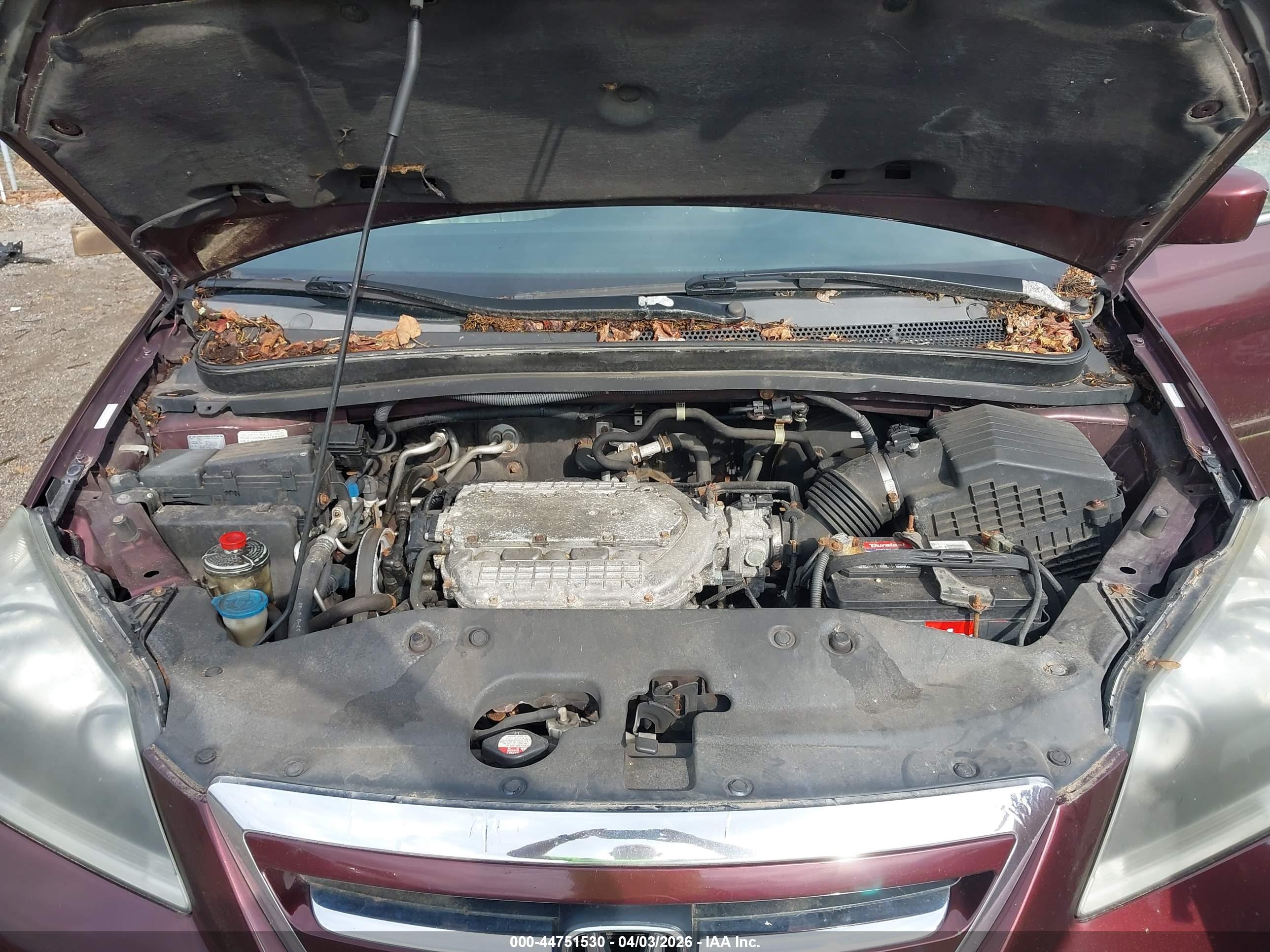 HONDA ODYSSEY image 10