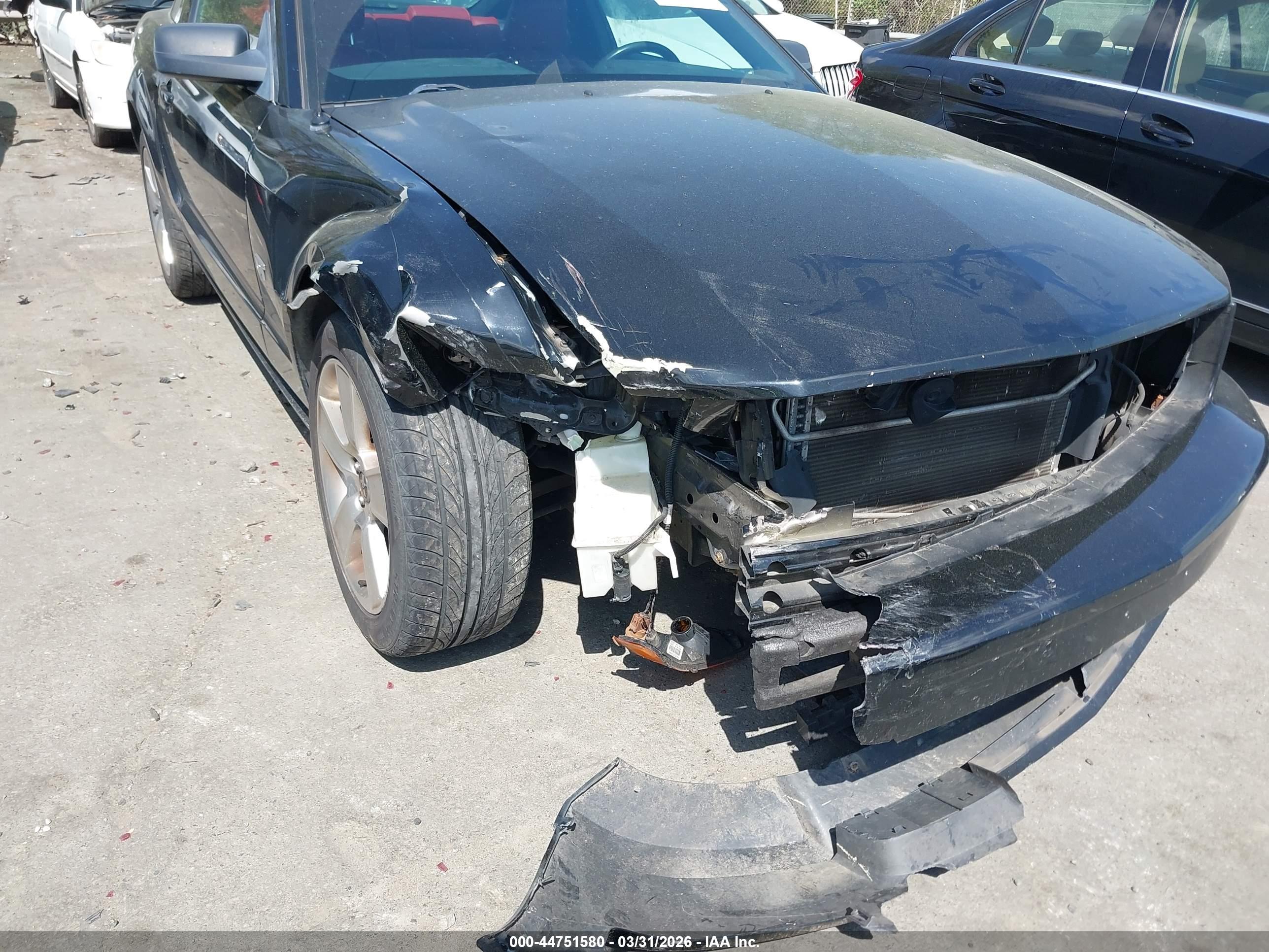 FORD MUSTANG image 6