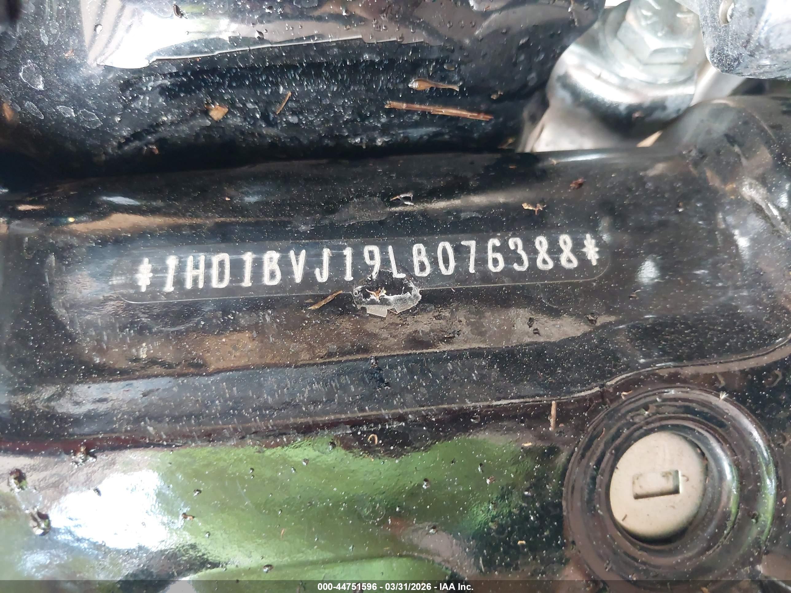 HARLEY-DAVIDSON FXST image 10