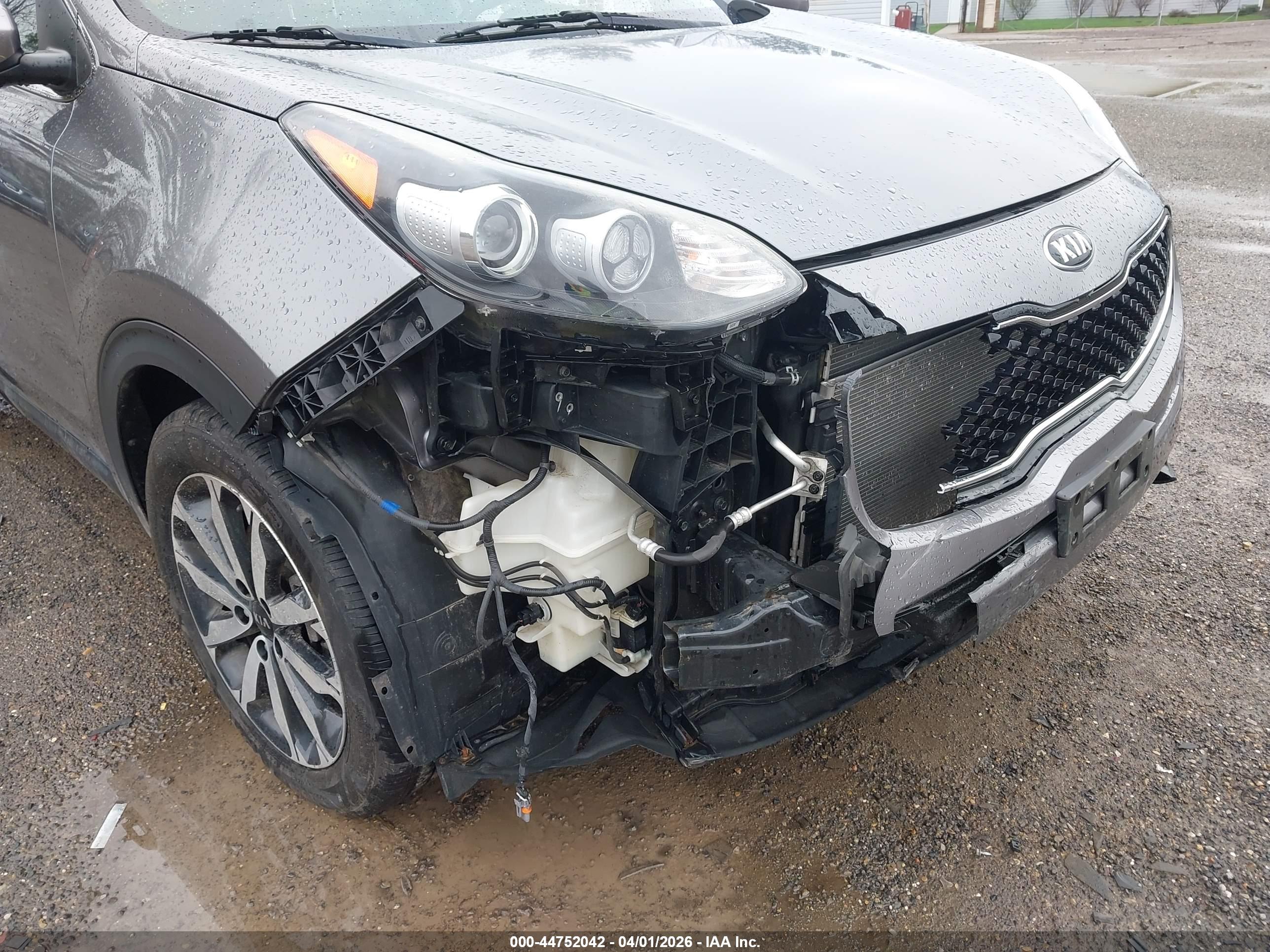 KIA SPORTAGE image 6