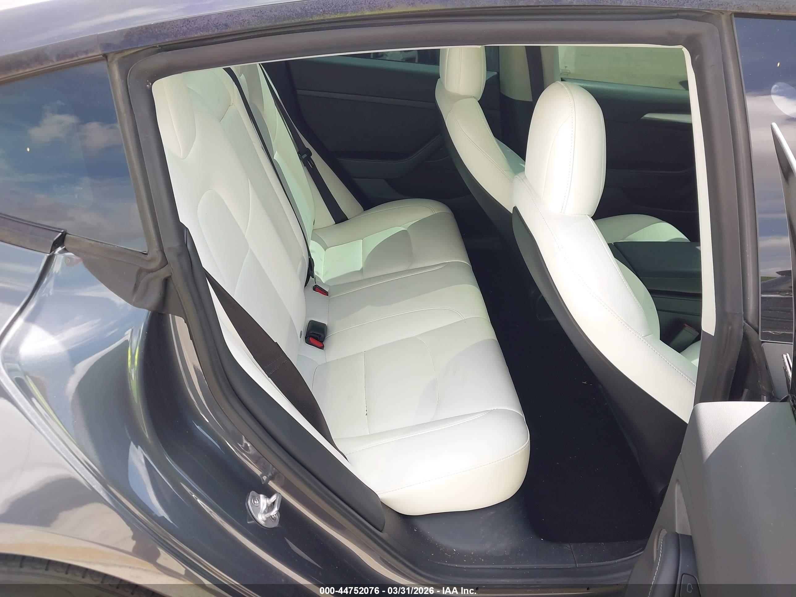 TESLA MODEL image 8