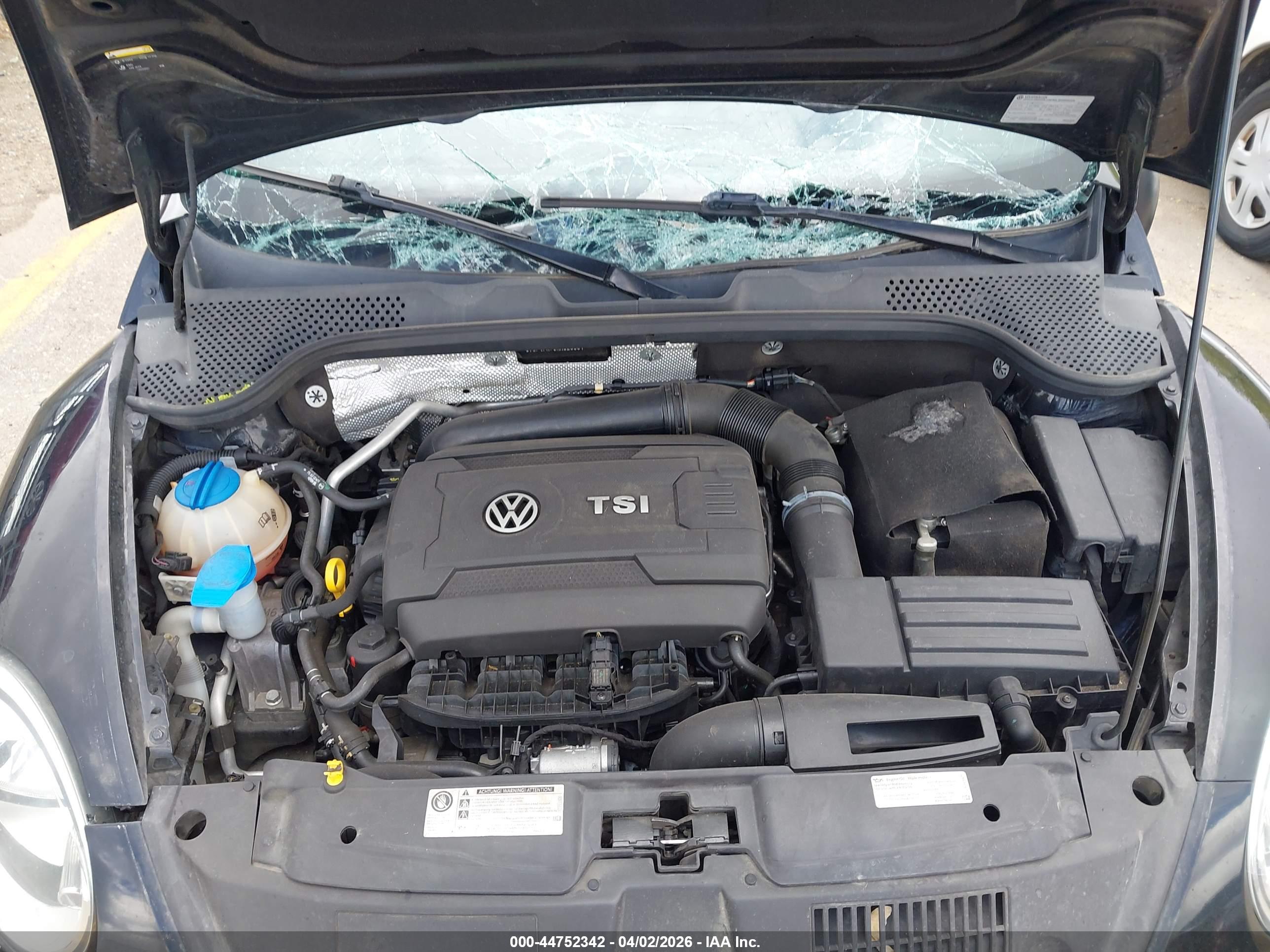 VOLKSWAGEN BEETLE image 10