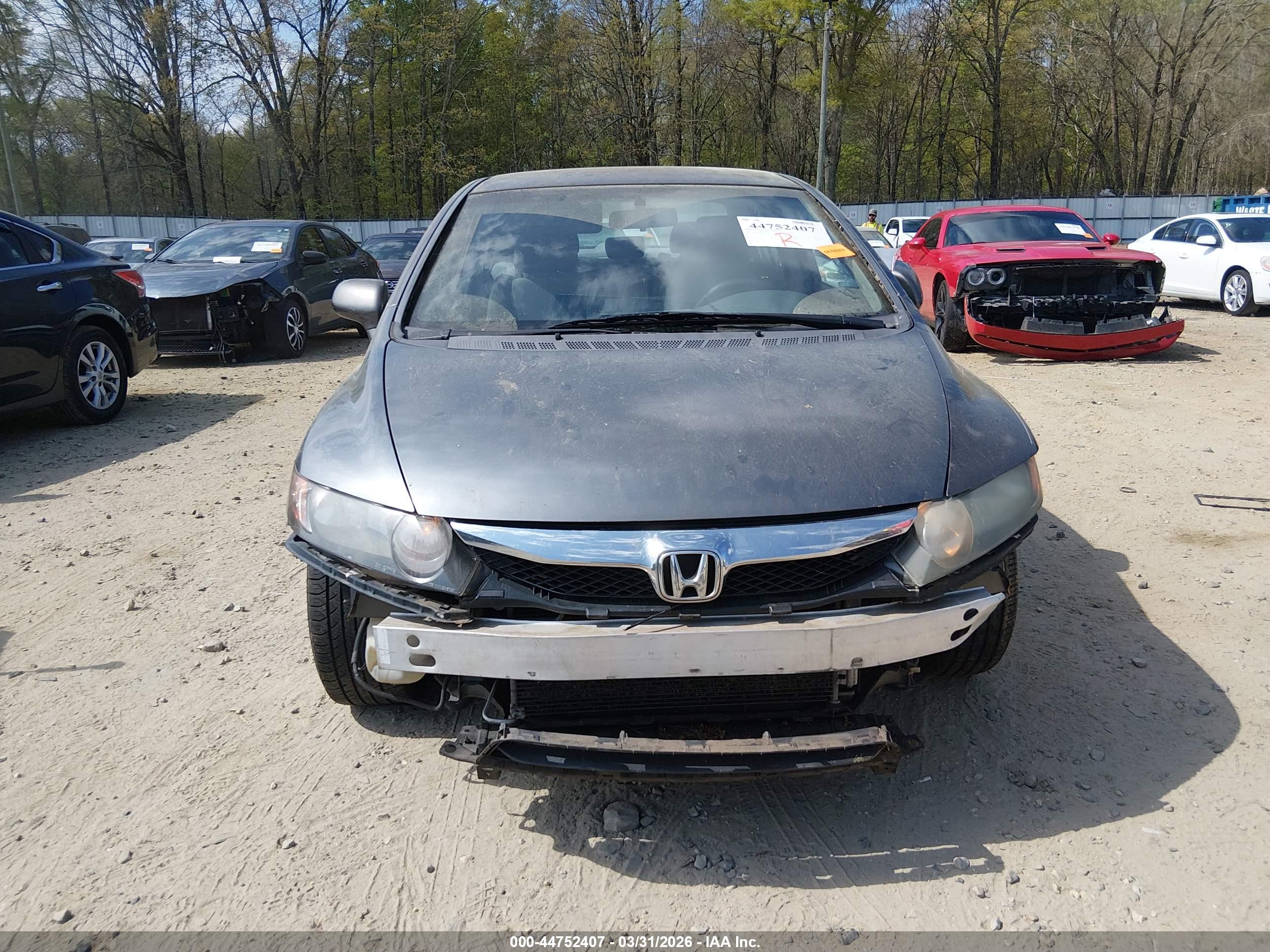 HONDA CIVIC image 6