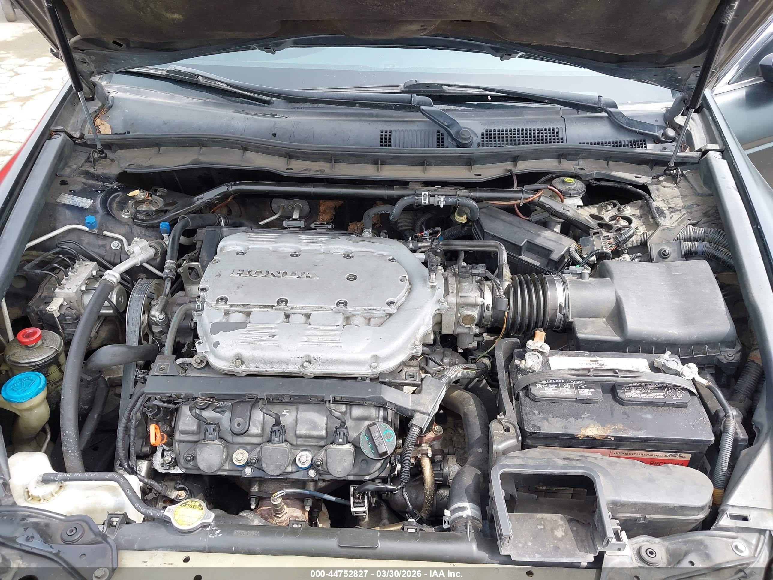 HONDA ACCORD image 10