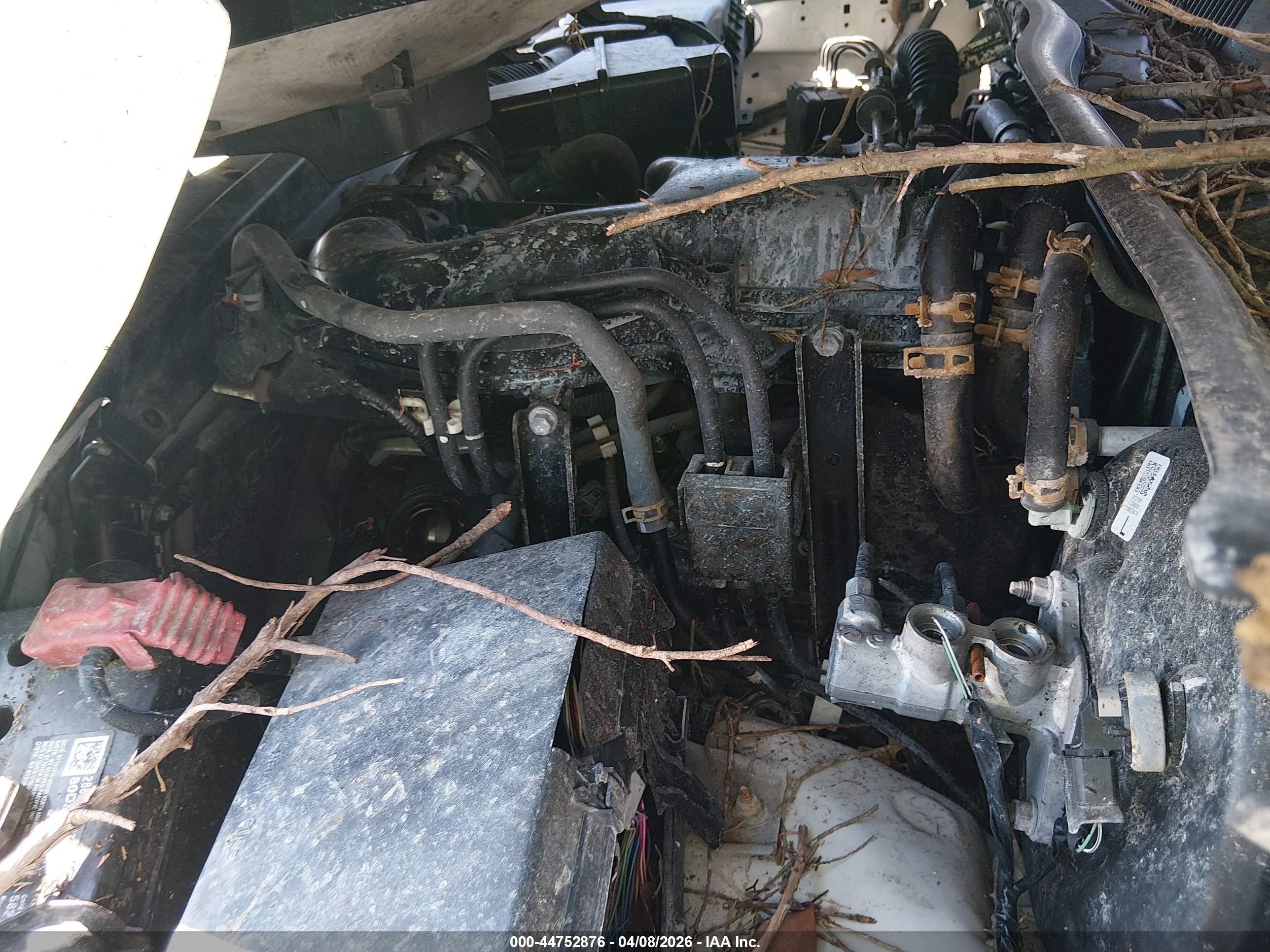 TOYOTA TACOMA image 10