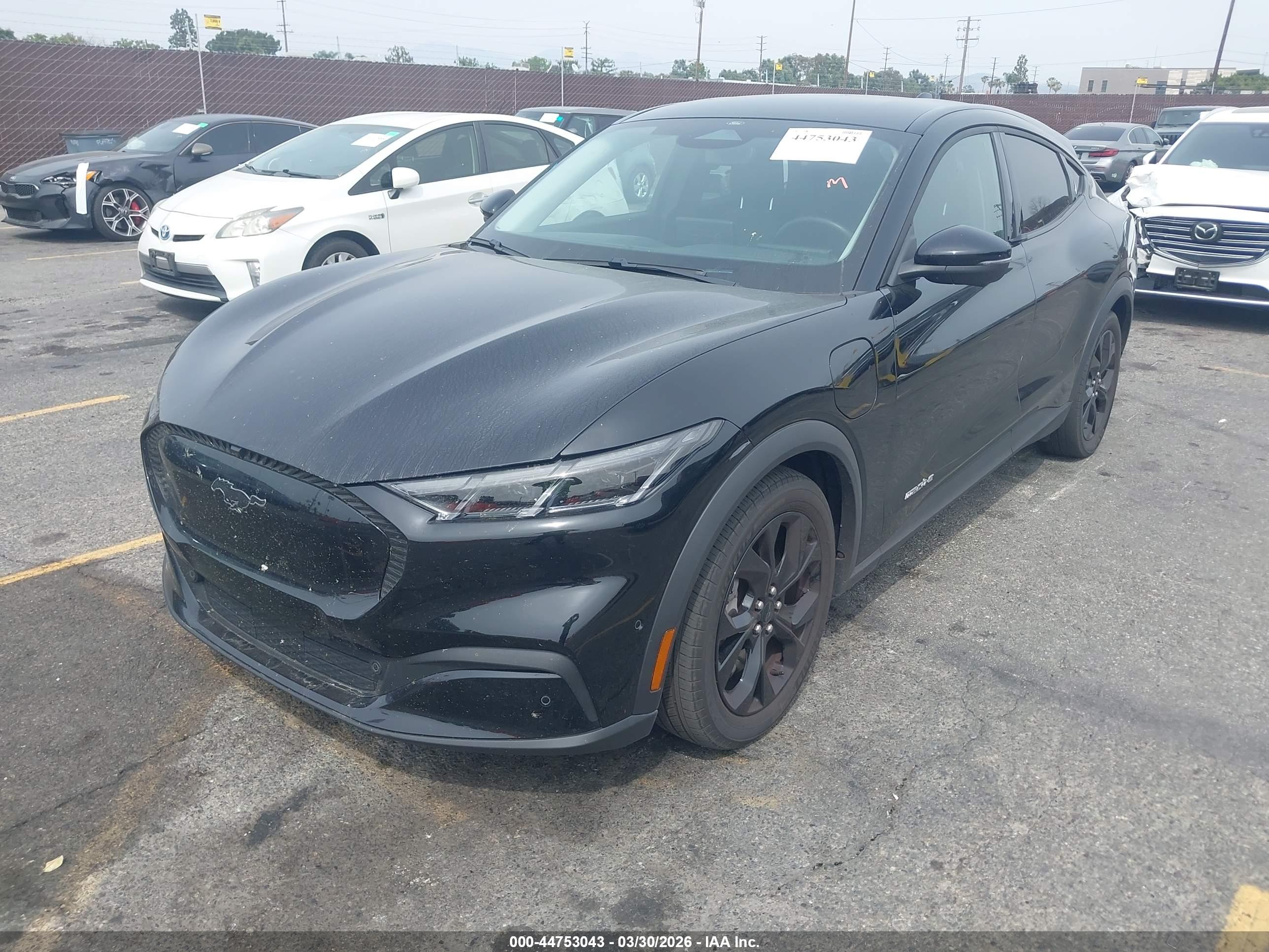 FORD MUSTANG image 2