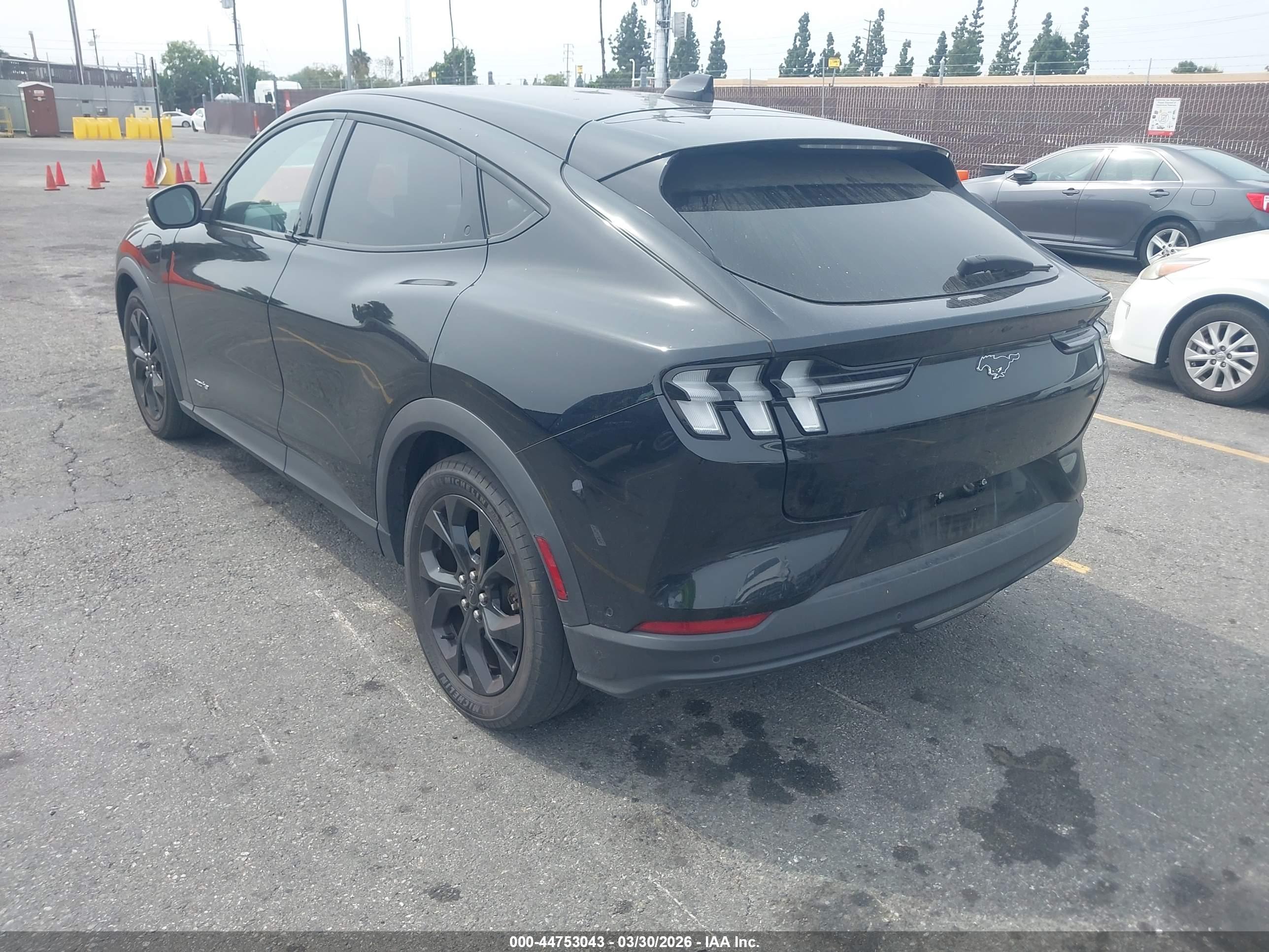 FORD MUSTANG image 3