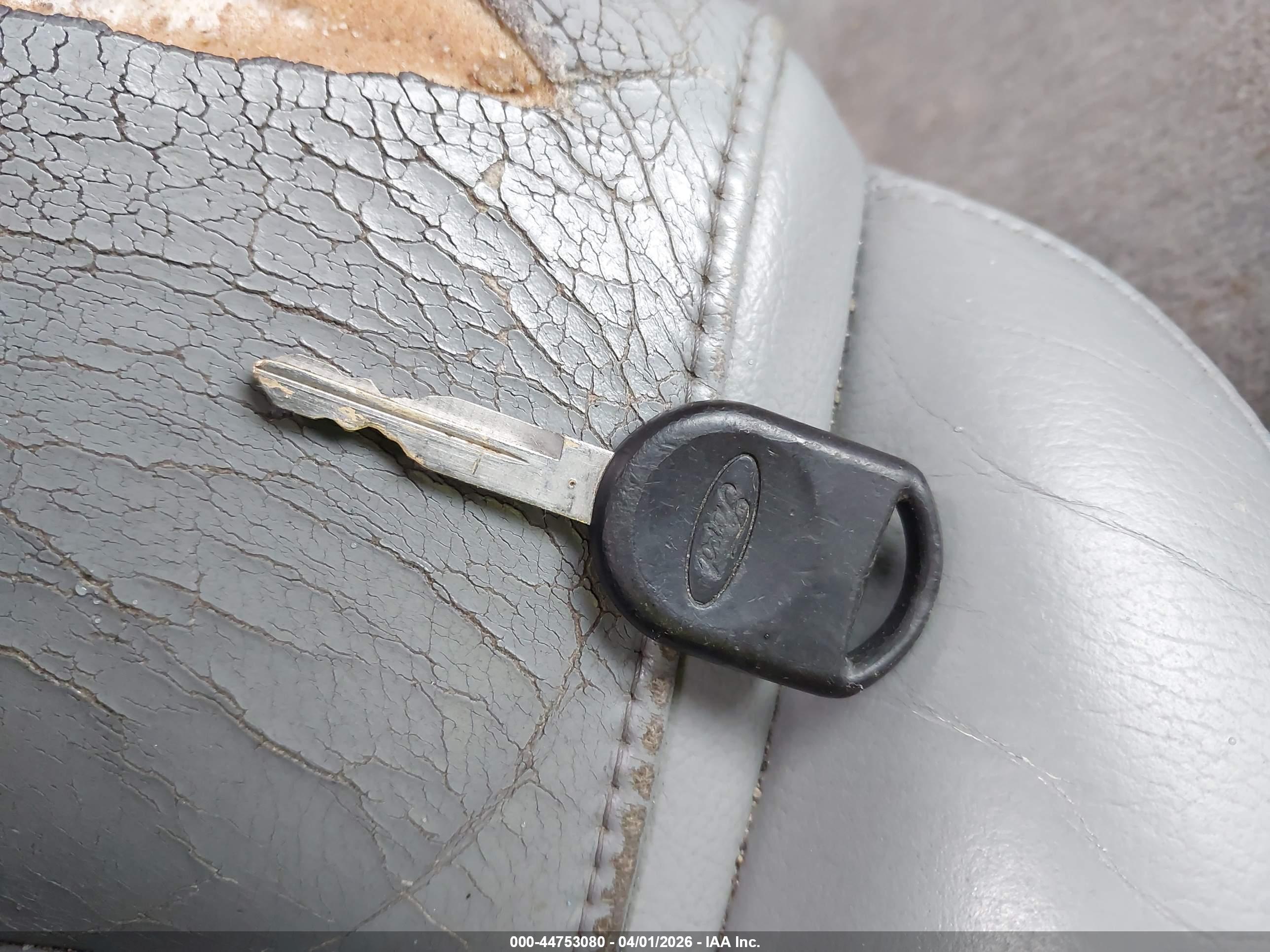 FORD MUSTANG image 11