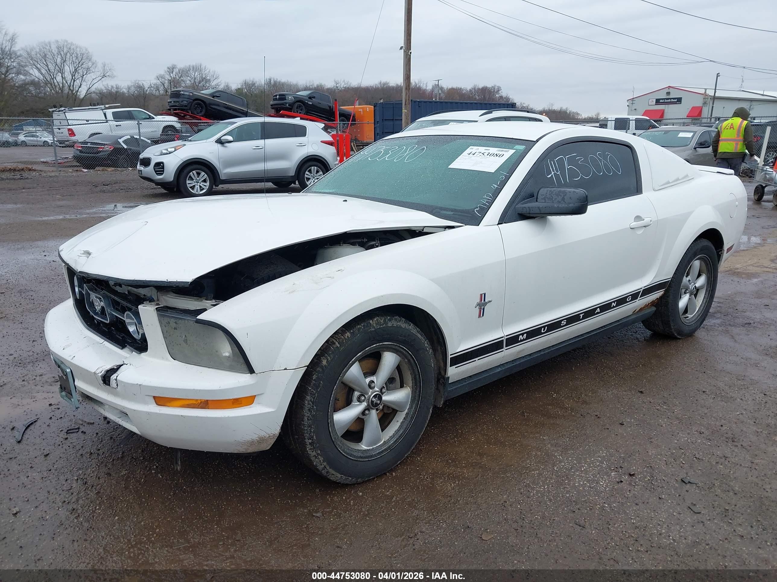 FORD MUSTANG image 2