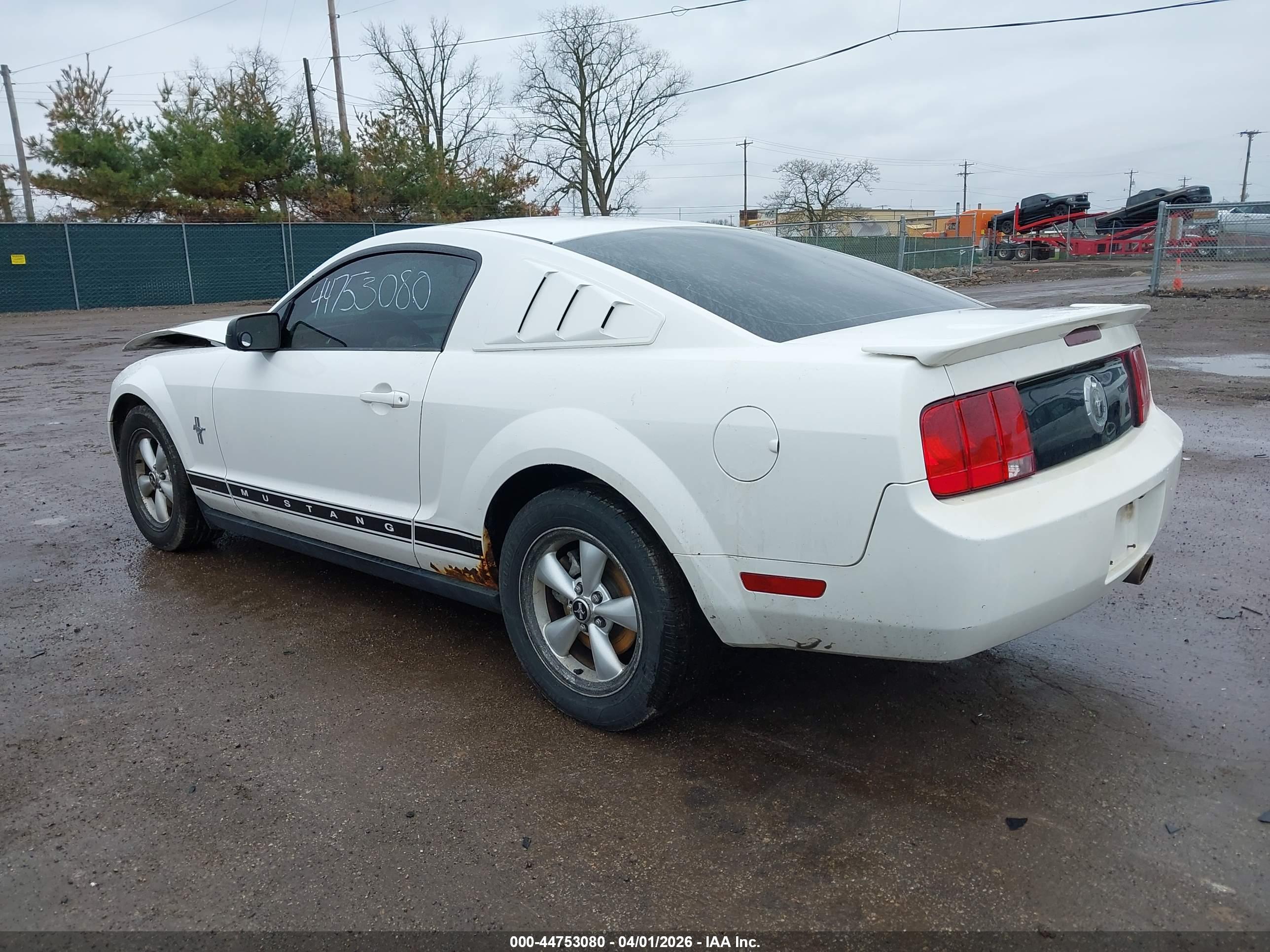 FORD MUSTANG image 3